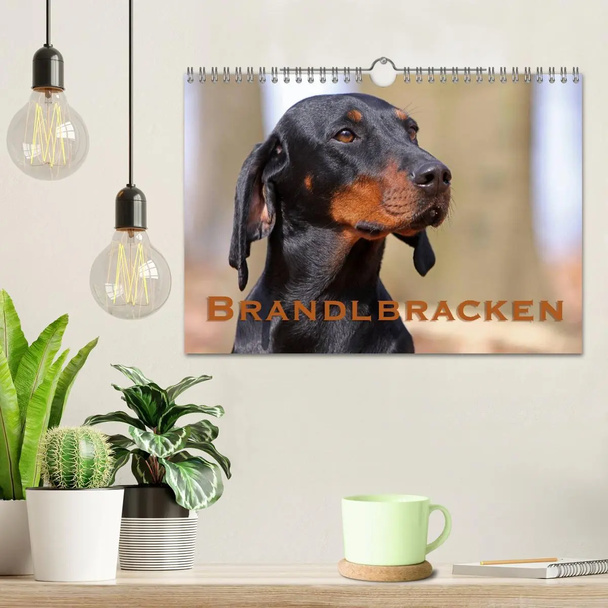 Bild: 9783516157673 | Brandlbracken (Wandkalender 2026 DIN A4 quer), CALVENDO Monatskalender
