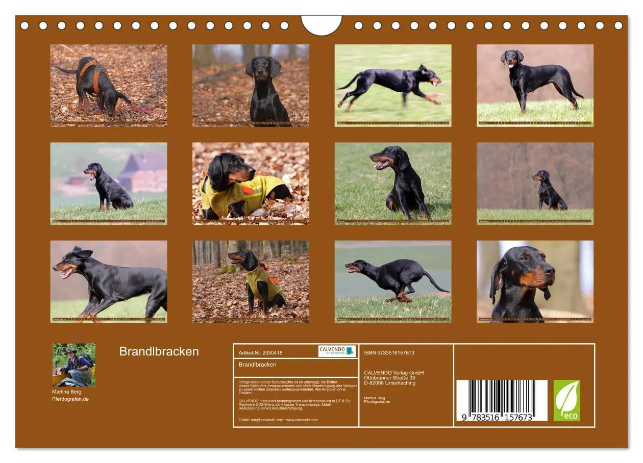 Bild: 9783516157673 | Brandlbracken (Wandkalender 2026 DIN A4 quer), CALVENDO Monatskalender