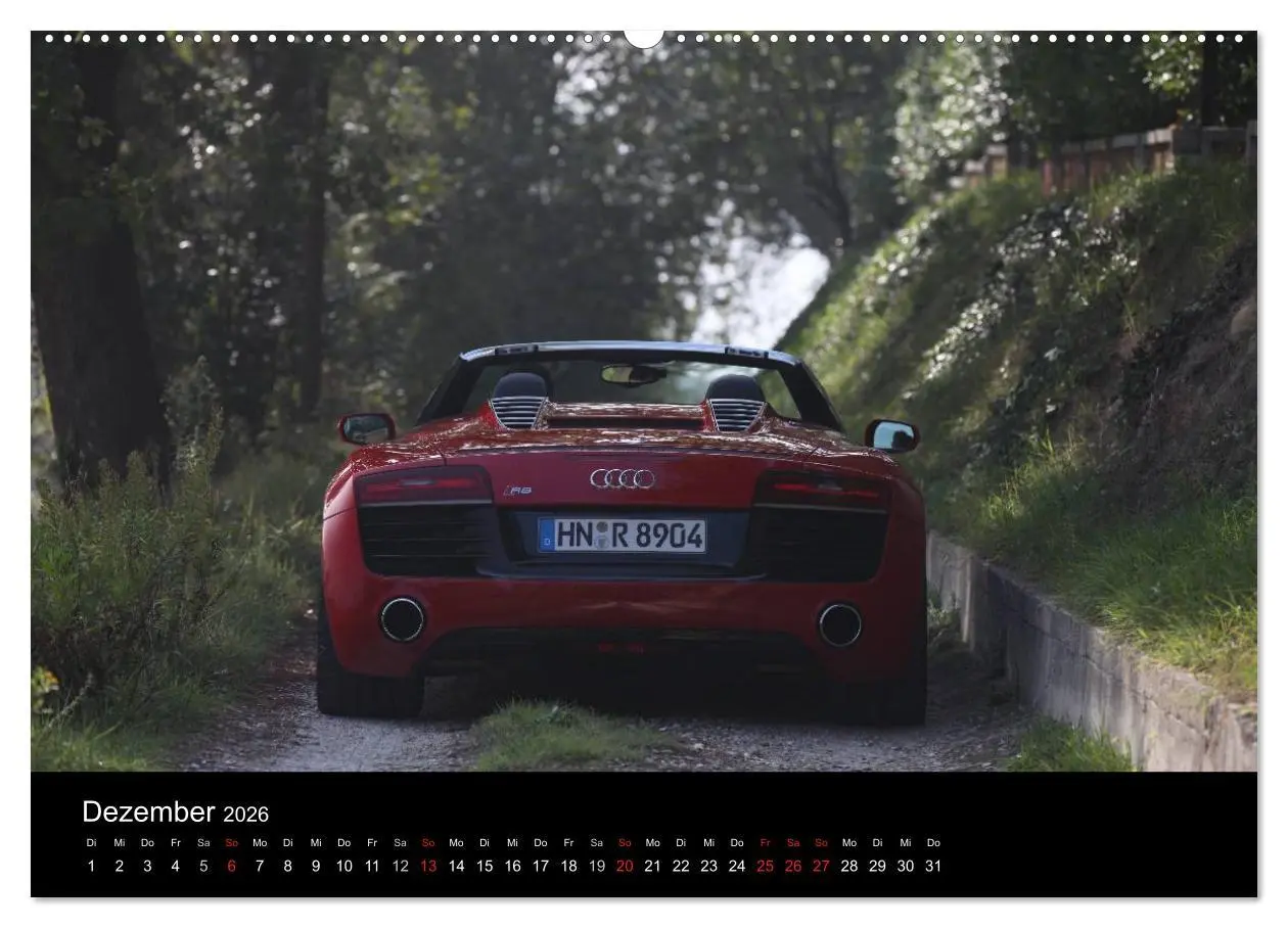 Bild: 9783516227673 | Vollblut-Sportler (Wandkalender 2026 DIN A2 quer), CALVENDO...