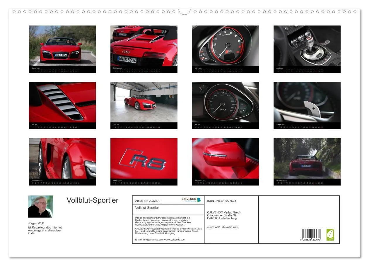 Bild: 9783516227673 | Vollblut-Sportler (Wandkalender 2026 DIN A2 quer), CALVENDO...