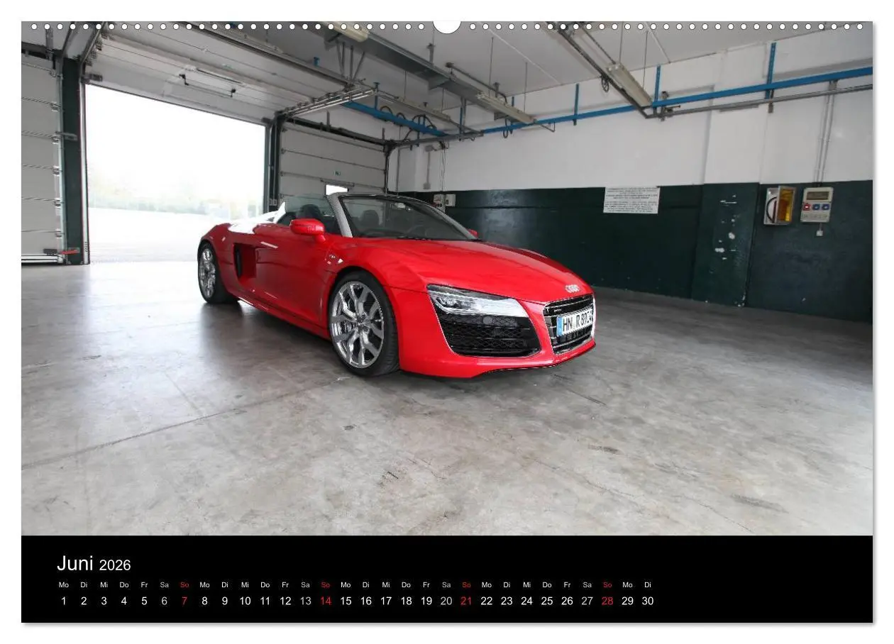 Bild: 9783516227673 | Vollblut-Sportler (Wandkalender 2026 DIN A2 quer), CALVENDO...