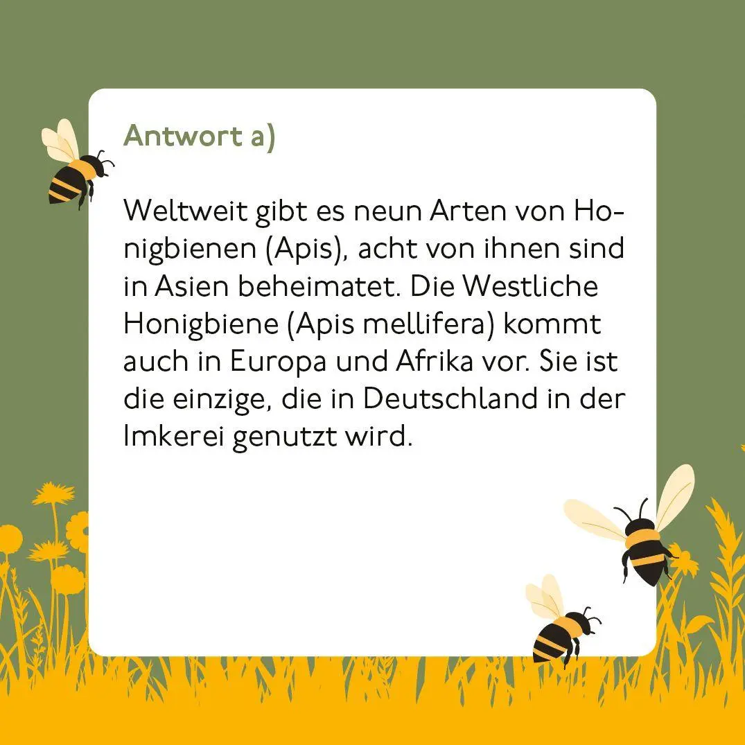 Bild: 9783747207673 | Bienen-Quiz | Corinna Weinert | Spiel | 66 S. | 20767 | Deutsch | 2026