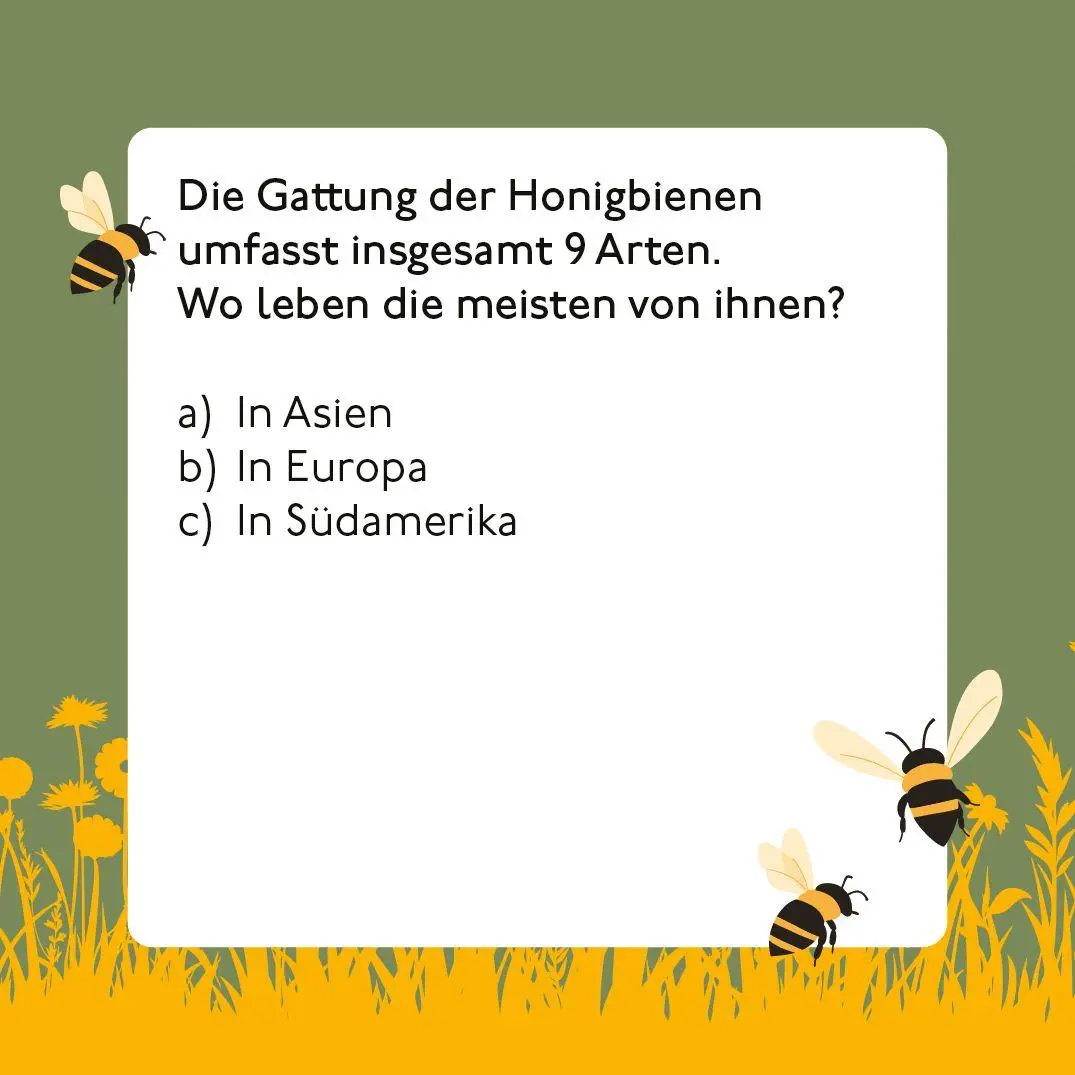 Bild: 9783747207673 | Bienen-Quiz | Corinna Weinert | Spiel | 66 S. | 20767 | Deutsch | 2026
