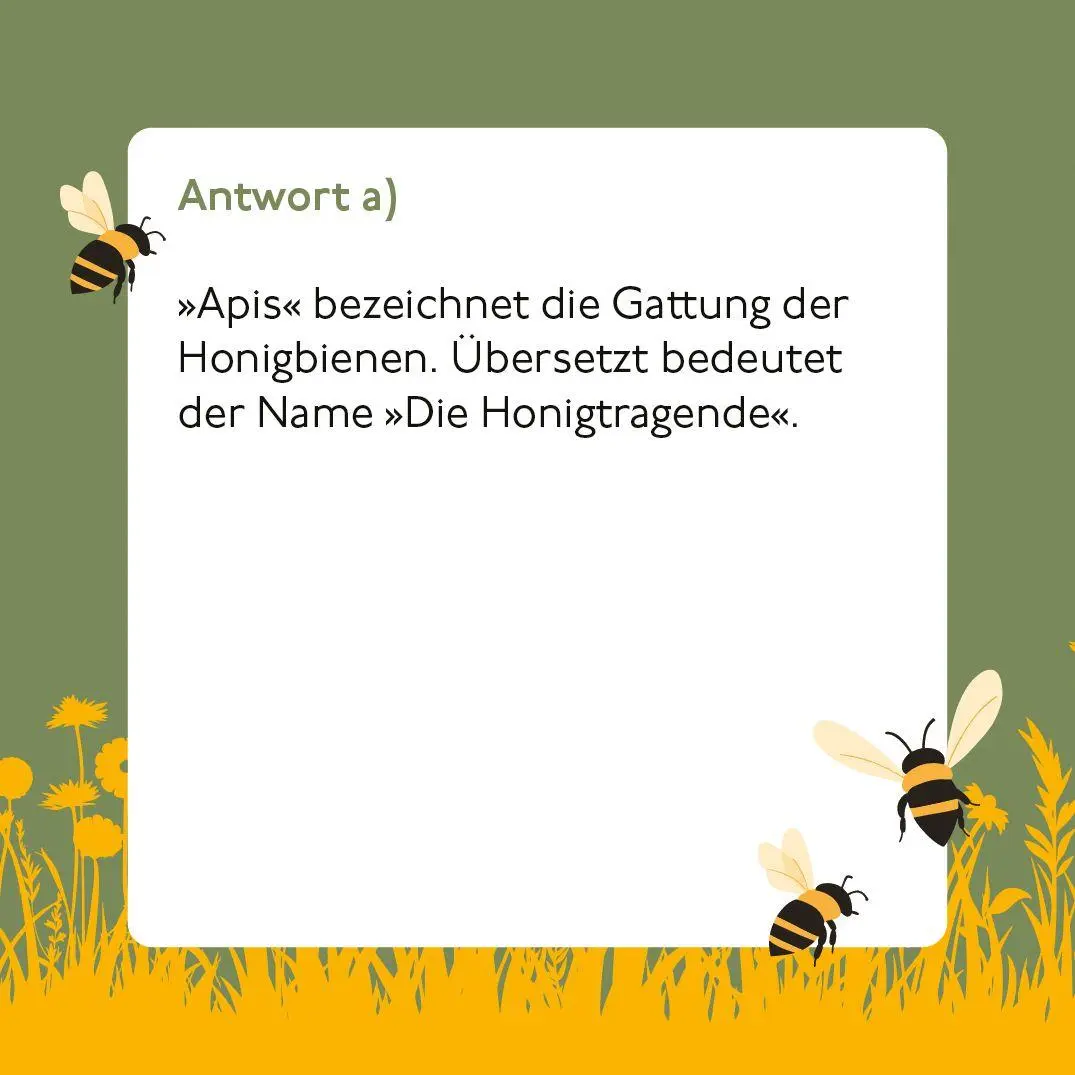 Bild: 9783747207673 | Bienen-Quiz | Corinna Weinert | Spiel | 66 S. | 20767 | Deutsch | 2026