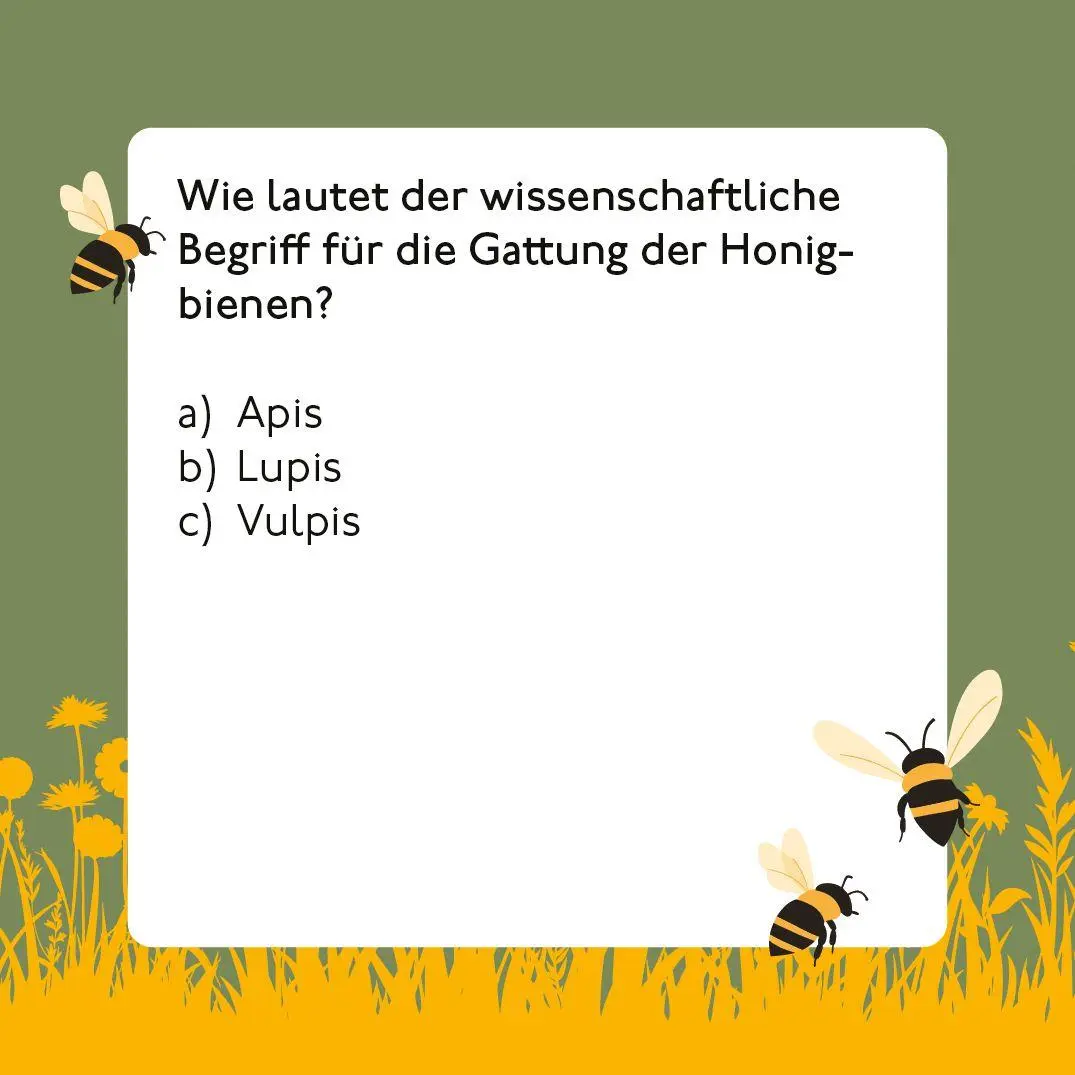 Bild: 9783747207673 | Bienen-Quiz | Corinna Weinert | Spiel | 66 S. | 20767 | Deutsch | 2026