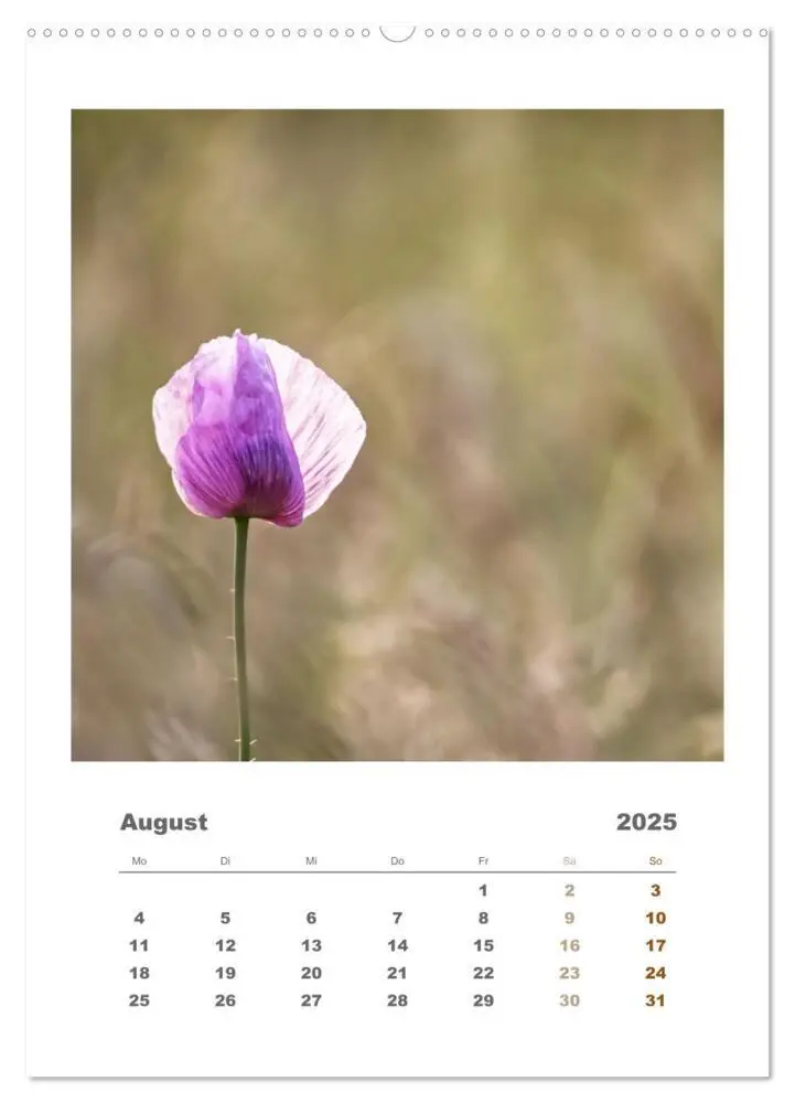 Bild: 9783435897773 | Minimalistisch, Gräser, Blüten, Blätter und Zweige im Fokus...