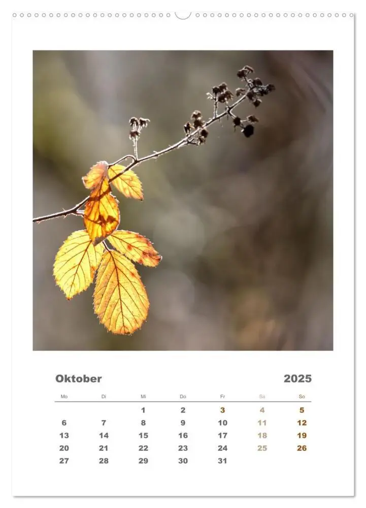 Bild: 9783435897773 | Minimalistisch, Gräser, Blüten, Blätter und Zweige im Fokus...