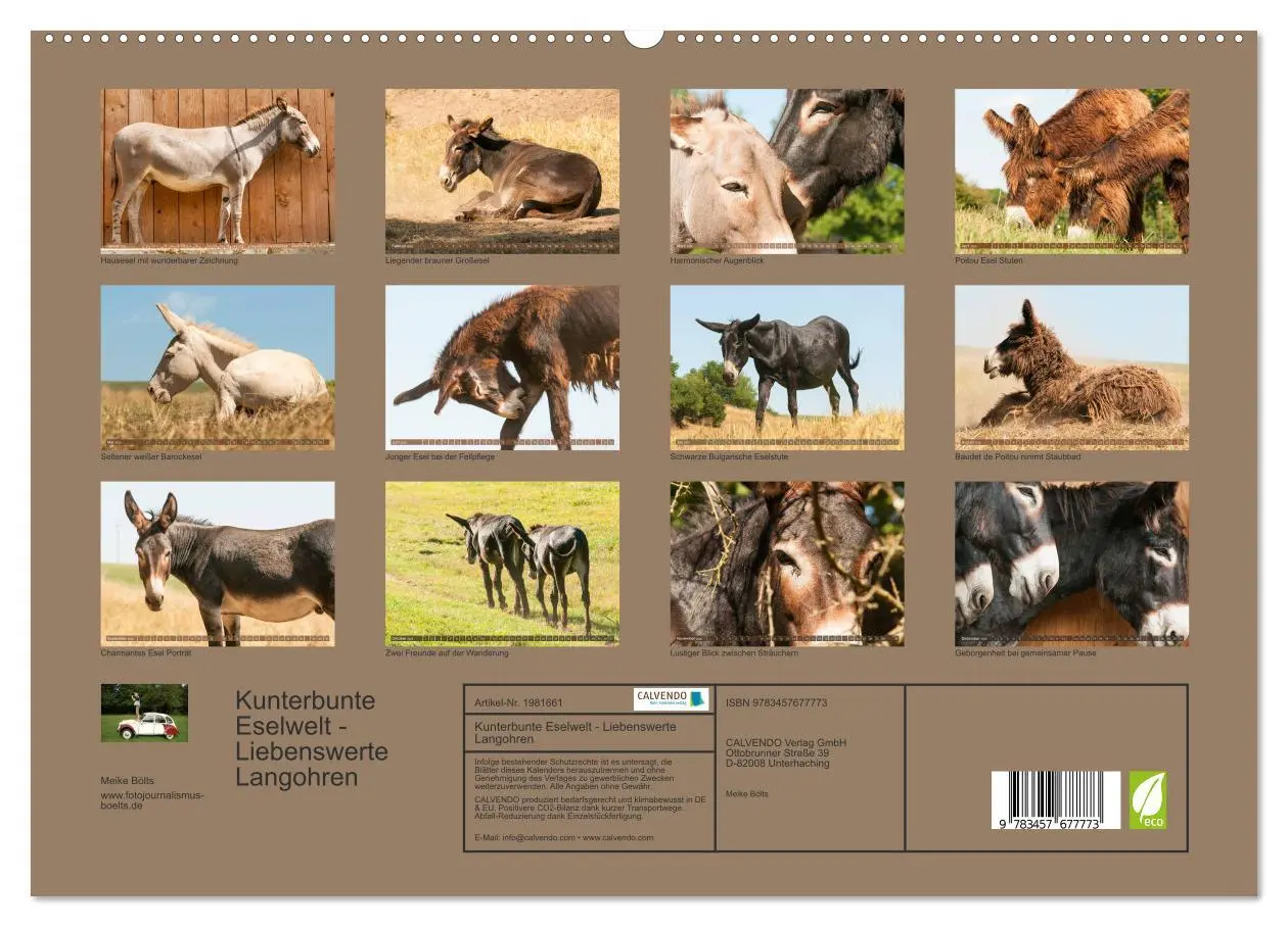Bild: 9783457677773 | Kunterbunte Eselwelt - Liebenswerte Langohren (hochwertiger Premium...