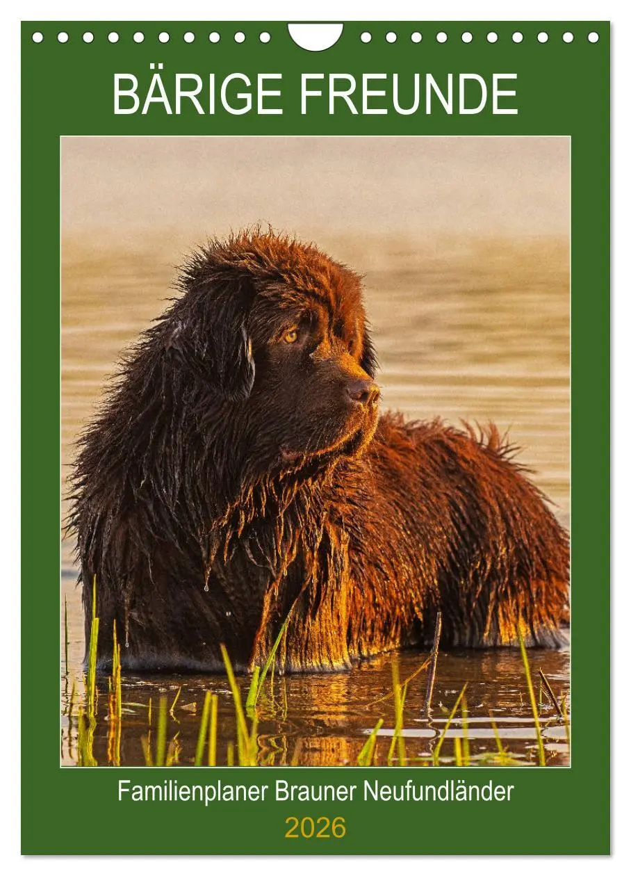 Cover: 9783516387773 | Bärige Freunde - Familienplaner Brauner Neufundländer (Wandkalender...