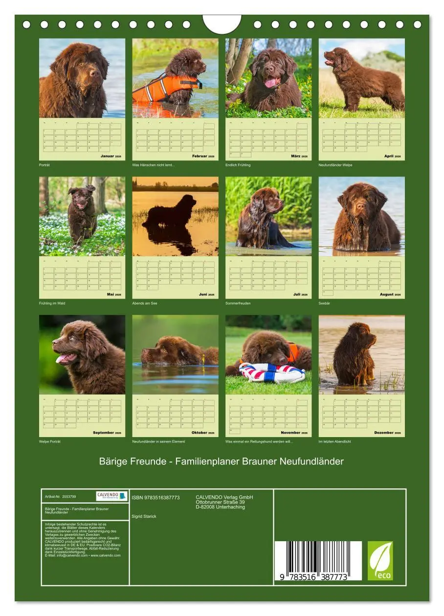 Bild: 9783516387773 | Bärige Freunde - Familienplaner Brauner Neufundländer (Wandkalender...