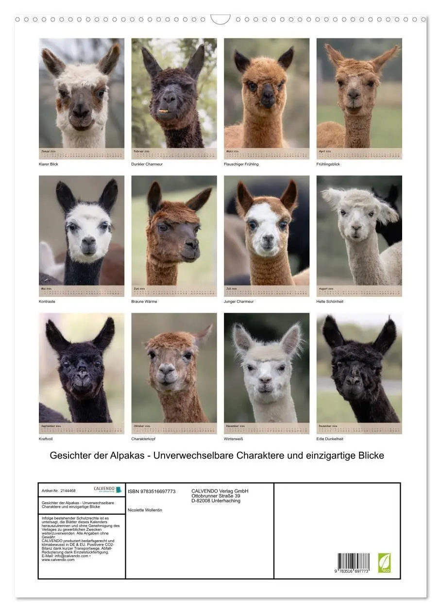 Bild: 9783516697773 | Gesichter der Alpakas - Unverwechselbare Charaktere und...