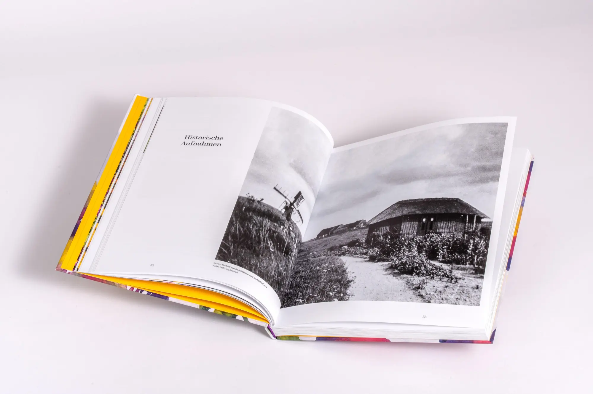 Bild: 9783791377773 | Der Garten von Emil Nolde | Magdalena Moeller | Buch | 176 S. | 2025