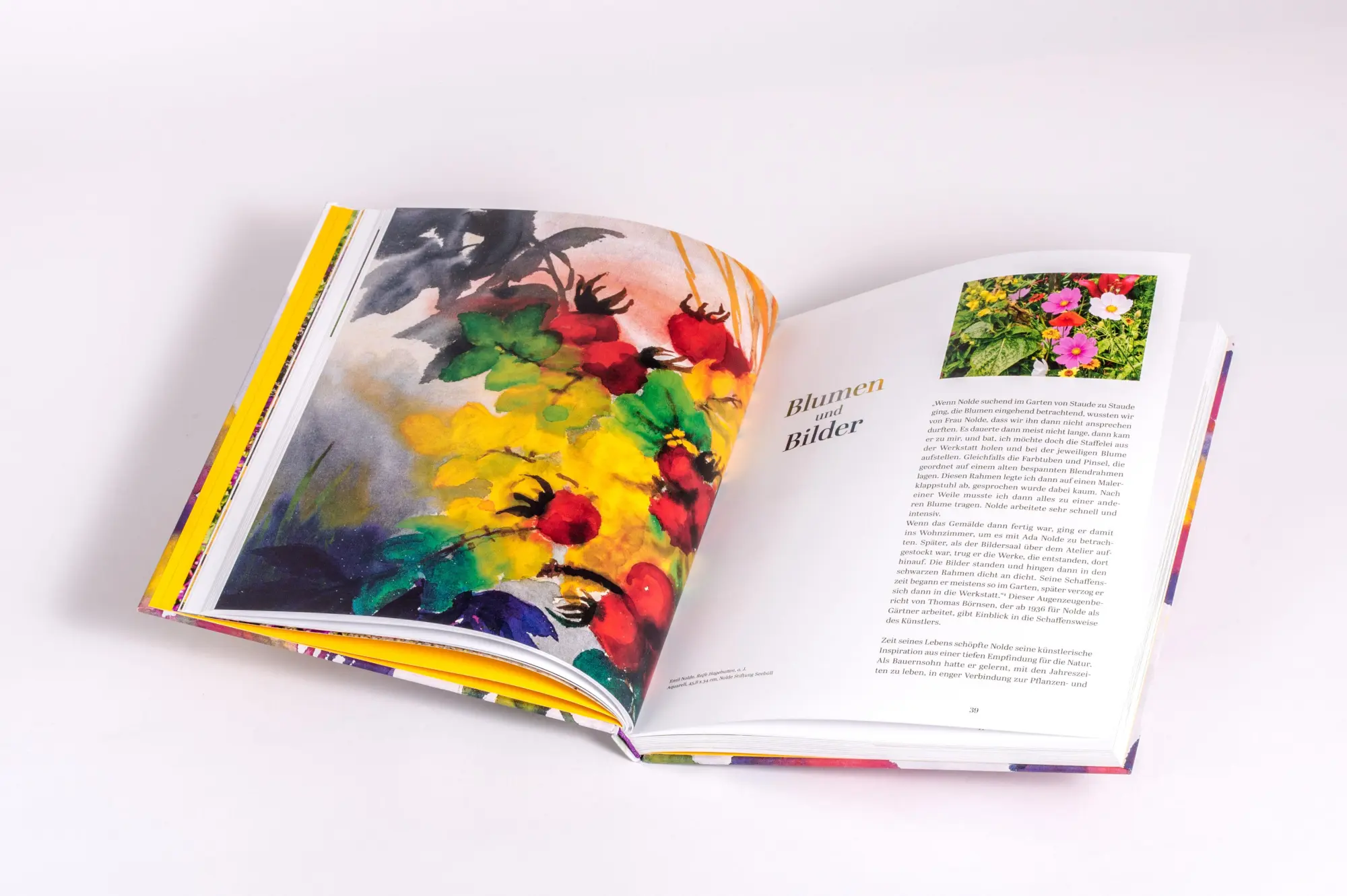 Bild: 9783791377773 | Der Garten von Emil Nolde | Magdalena Moeller | Buch | 176 S. | 2025