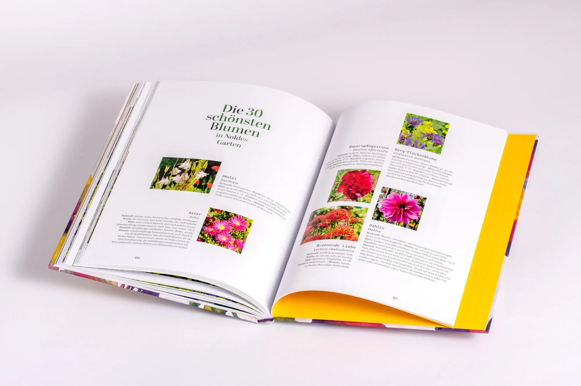 Bild: 9783791377773 | Der Garten von Emil Nolde | Magdalena Moeller | Buch | 176 S. | 2025