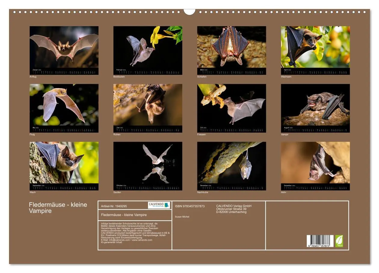 Bild: 9783457357873 | Fledermäuse - kleine Vampire (Wandkalender 2026 DIN A2 quer),...