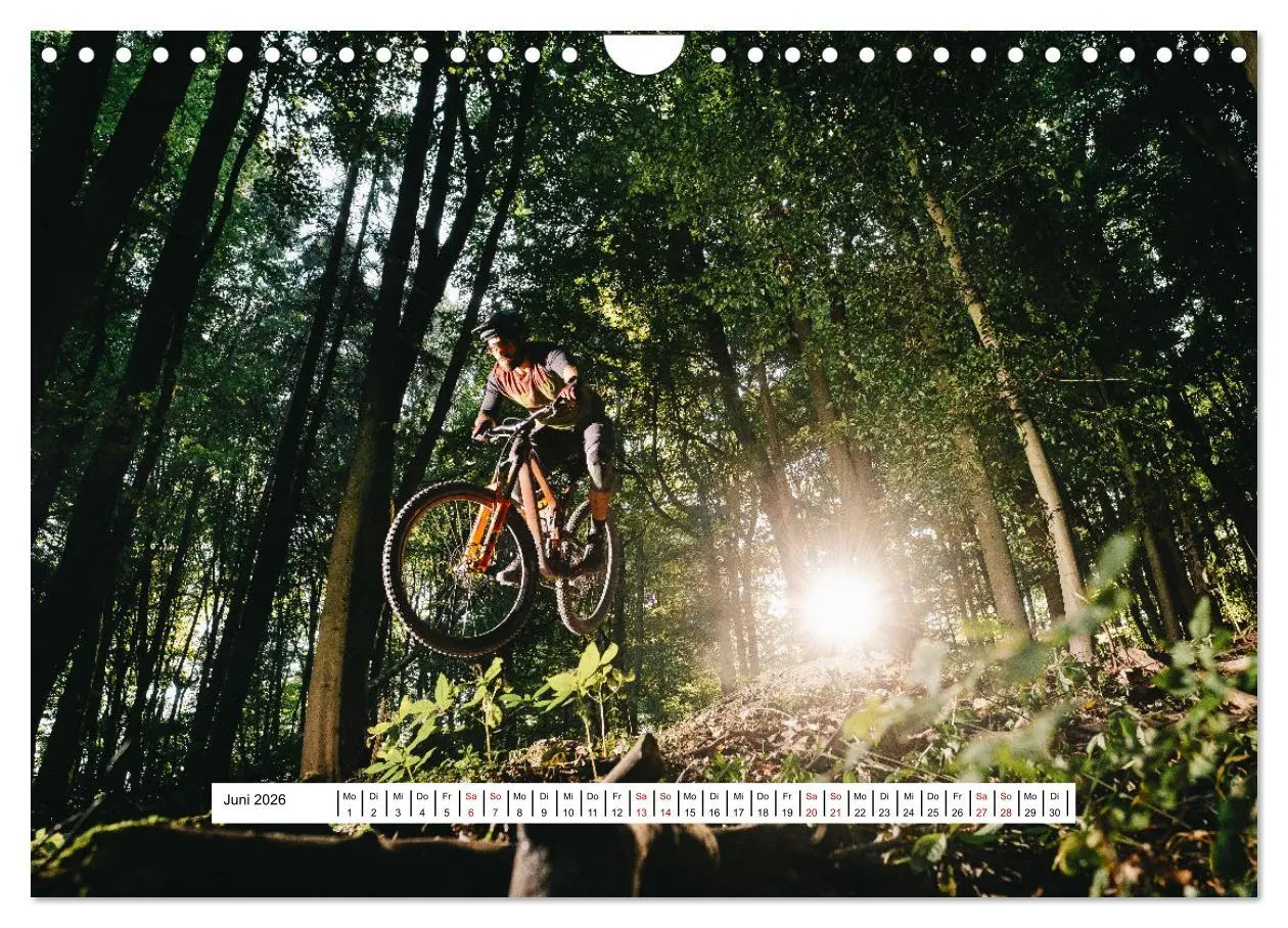 Bild: 9783457667873 | Mountainbike Trail-Action (Wandkalender 2026 DIN A4 quer), CALVENDO...