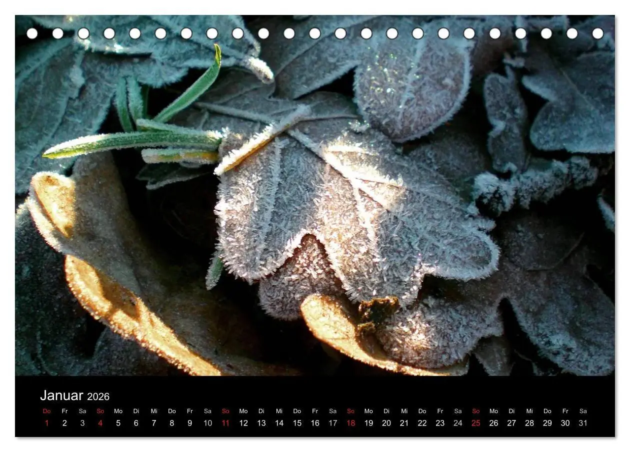 Bild: 9783457977873 | land und leben (Tischkalender 2026 DIN A5 quer), CALVENDO...