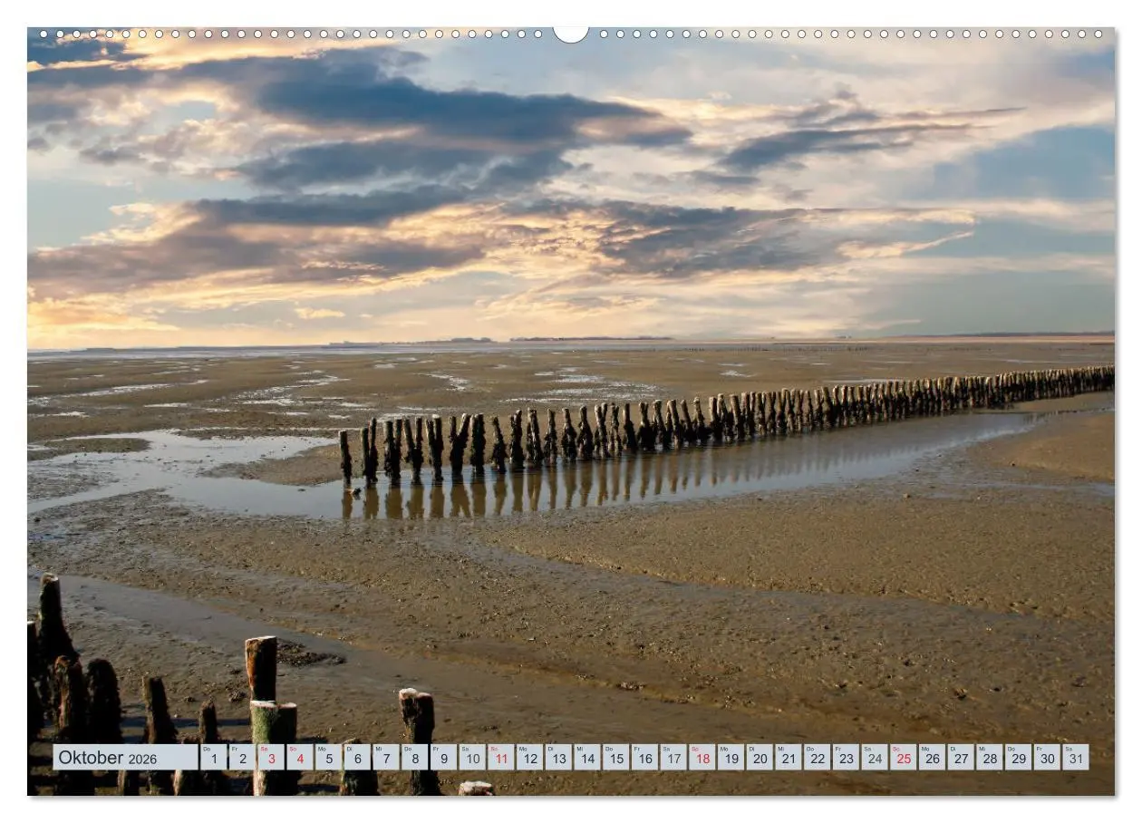 Bild: 9783457727973 | Langeoog - Natur Pur (Wandkalender 2026 DIN A2 quer), CALVENDO...