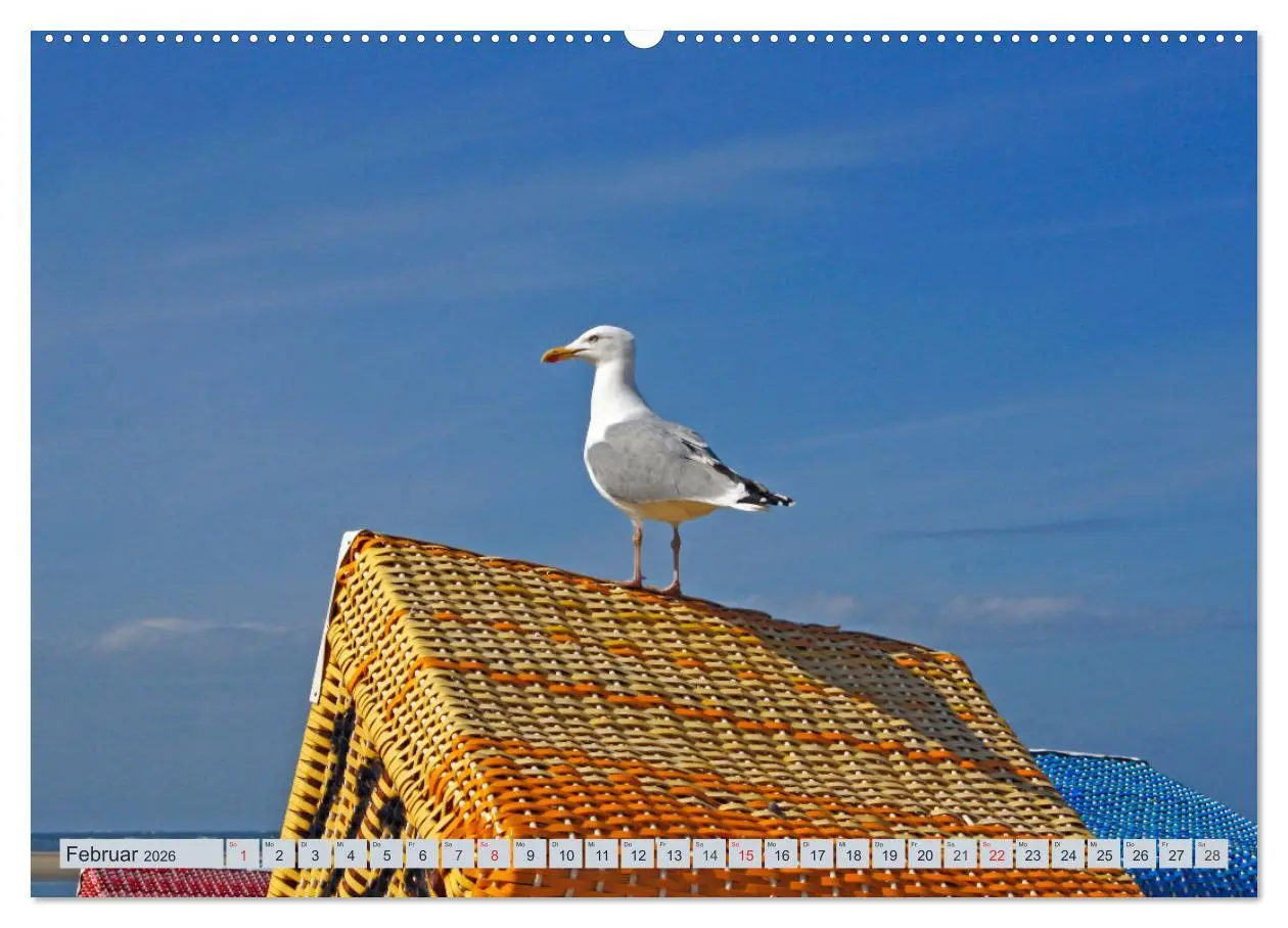 Bild: 9783457727973 | Langeoog - Natur Pur (Wandkalender 2026 DIN A2 quer), CALVENDO...