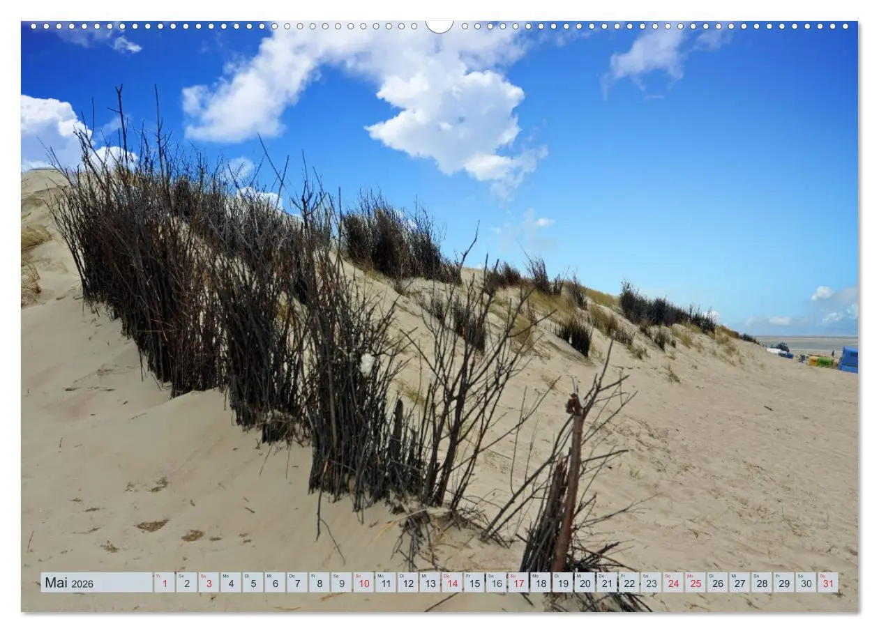 Bild: 9783457727973 | Langeoog - Natur Pur (Wandkalender 2026 DIN A2 quer), CALVENDO...