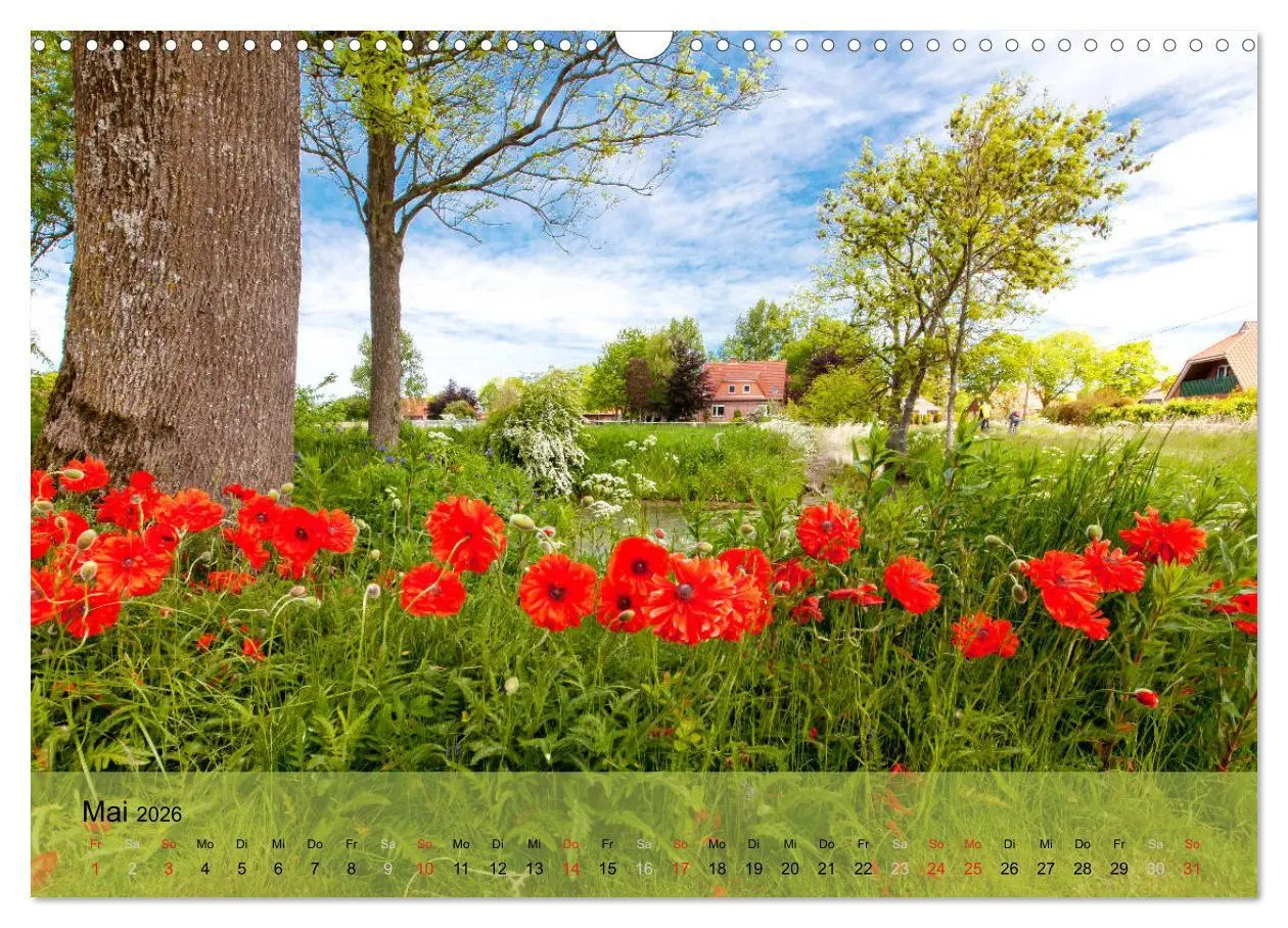 Bild: 9783457967973 | Nordsee - Traum (Wandkalender 2026 DIN A3 quer), CALVENDO...