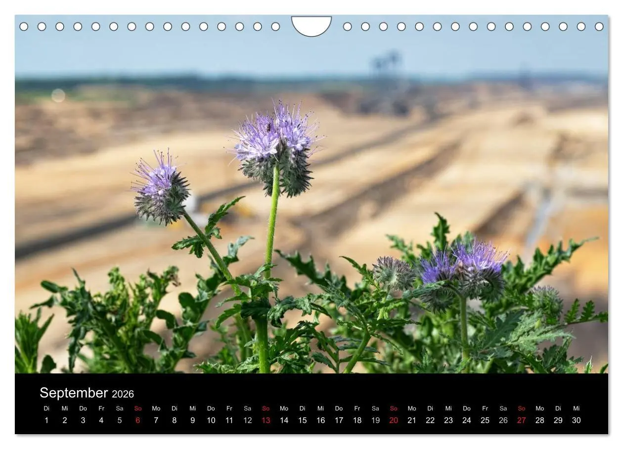 Bild: 9783516057973 | Der Tagebau (Wandkalender 2026 DIN A4 quer), CALVENDO Monatskalender