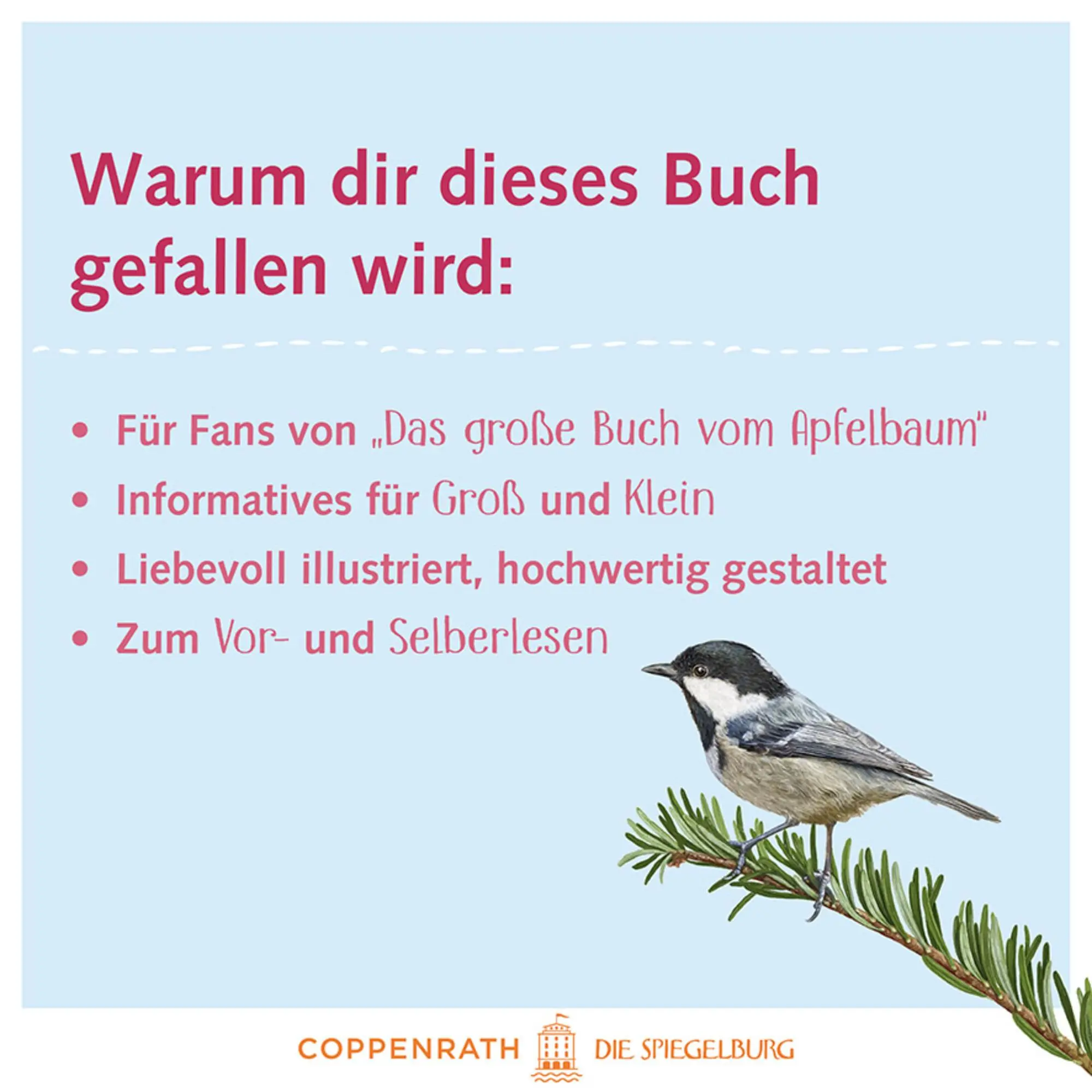 Bild: 9783649647973 | Das große Buch vom Tannenbaum | Holger Haag | Buch | 56 S. | Deutsch