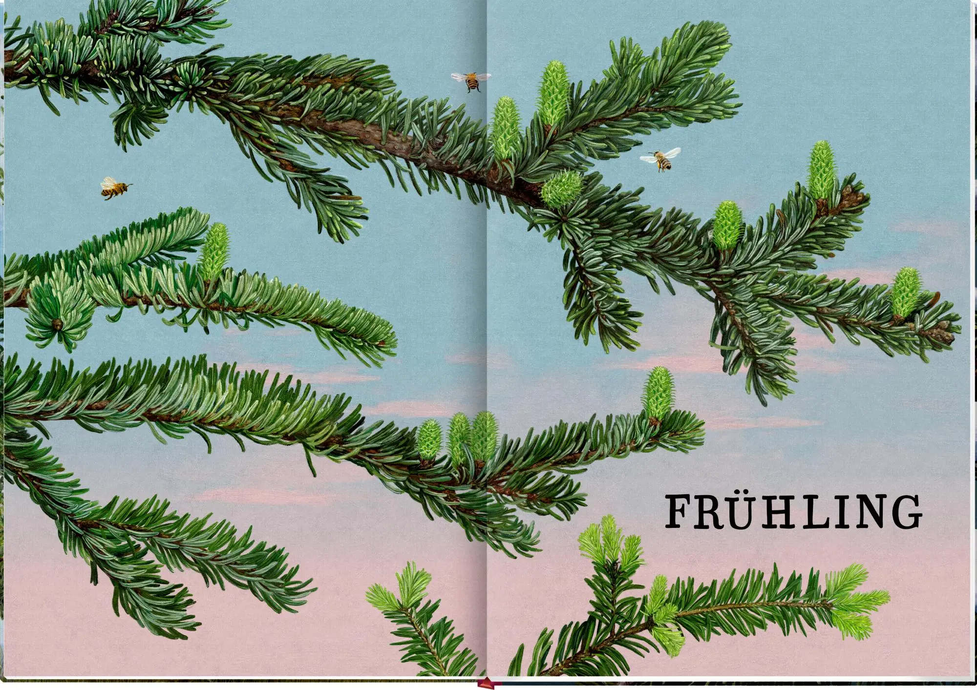 Bild: 9783649647973 | Das große Buch vom Tannenbaum | Holger Haag | Buch | 56 S. | Deutsch