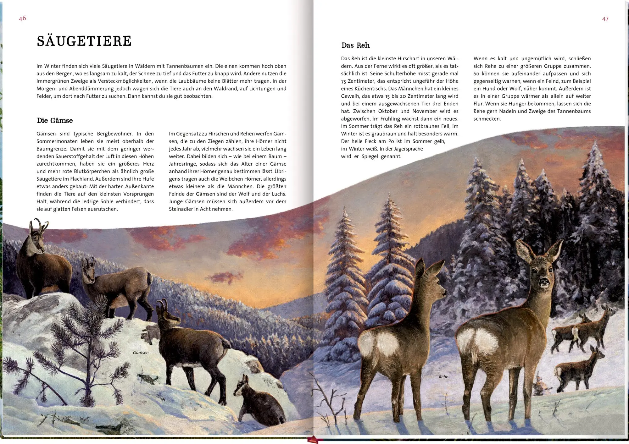 Bild: 9783649647973 | Das große Buch vom Tannenbaum | Holger Haag | Buch | 56 S. | Deutsch
