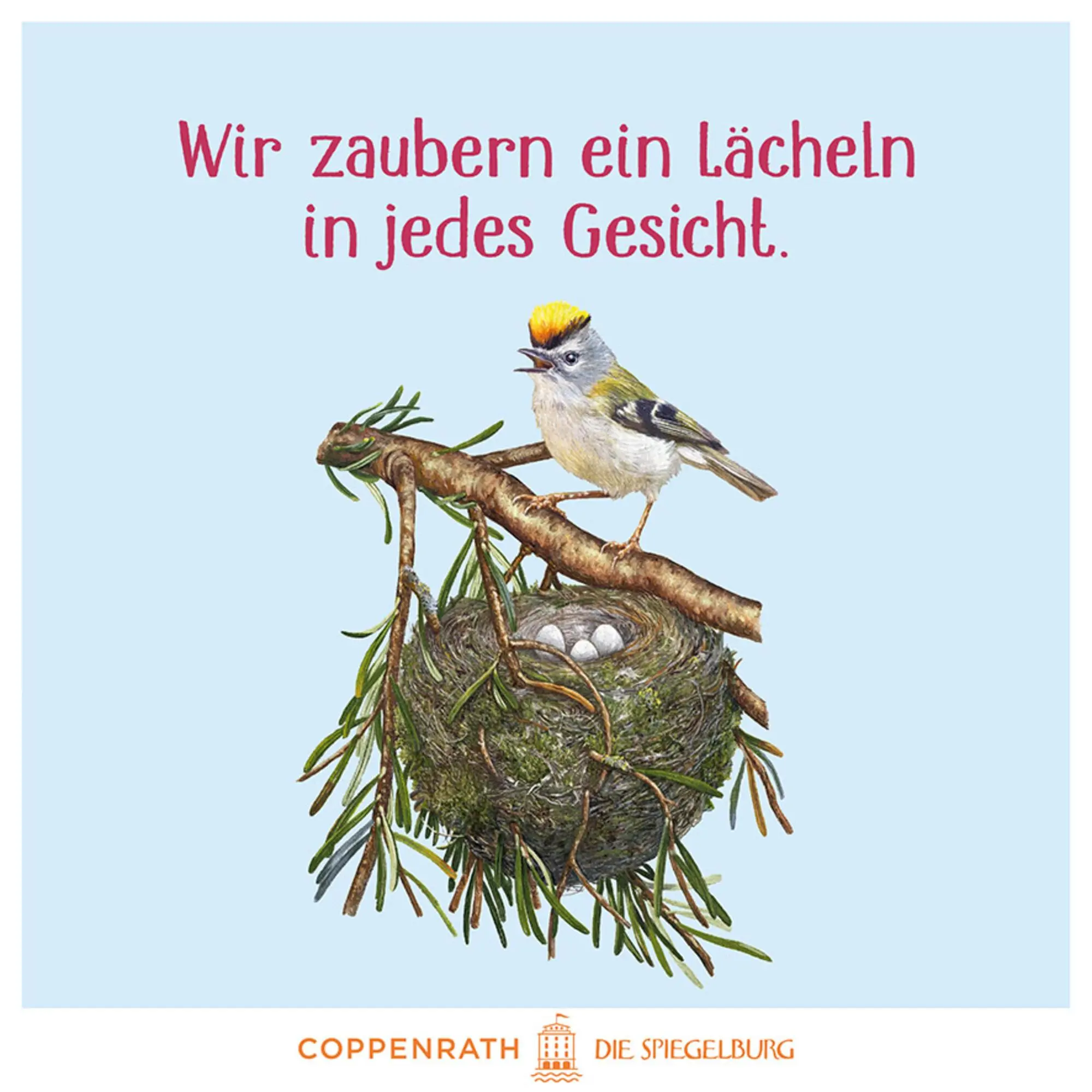 Bild: 9783649647973 | Das große Buch vom Tannenbaum | Holger Haag | Buch | 56 S. | Deutsch