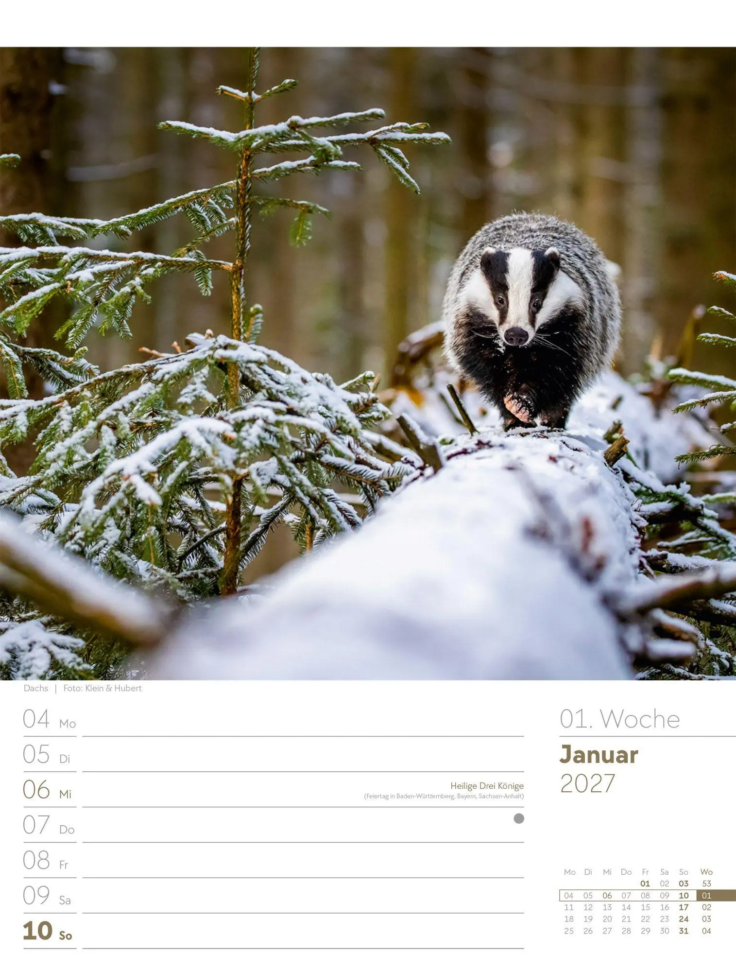 Bild: 9783838427973 | Unser Wald Wochenplaner Kalender 2027 | Ackermann Kunstverlag GmbH