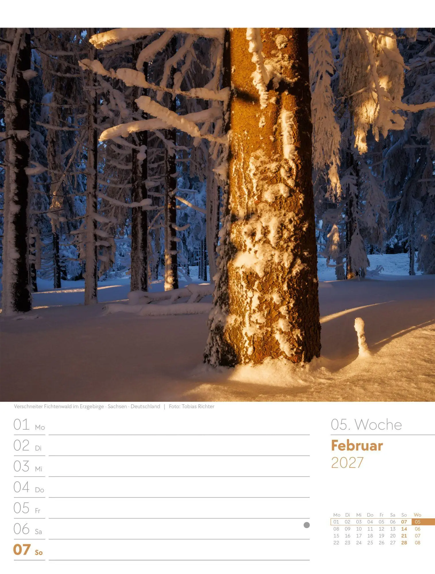 Bild: 9783838427973 | Unser Wald Wochenplaner Kalender 2027 | Ackermann Kunstverlag GmbH