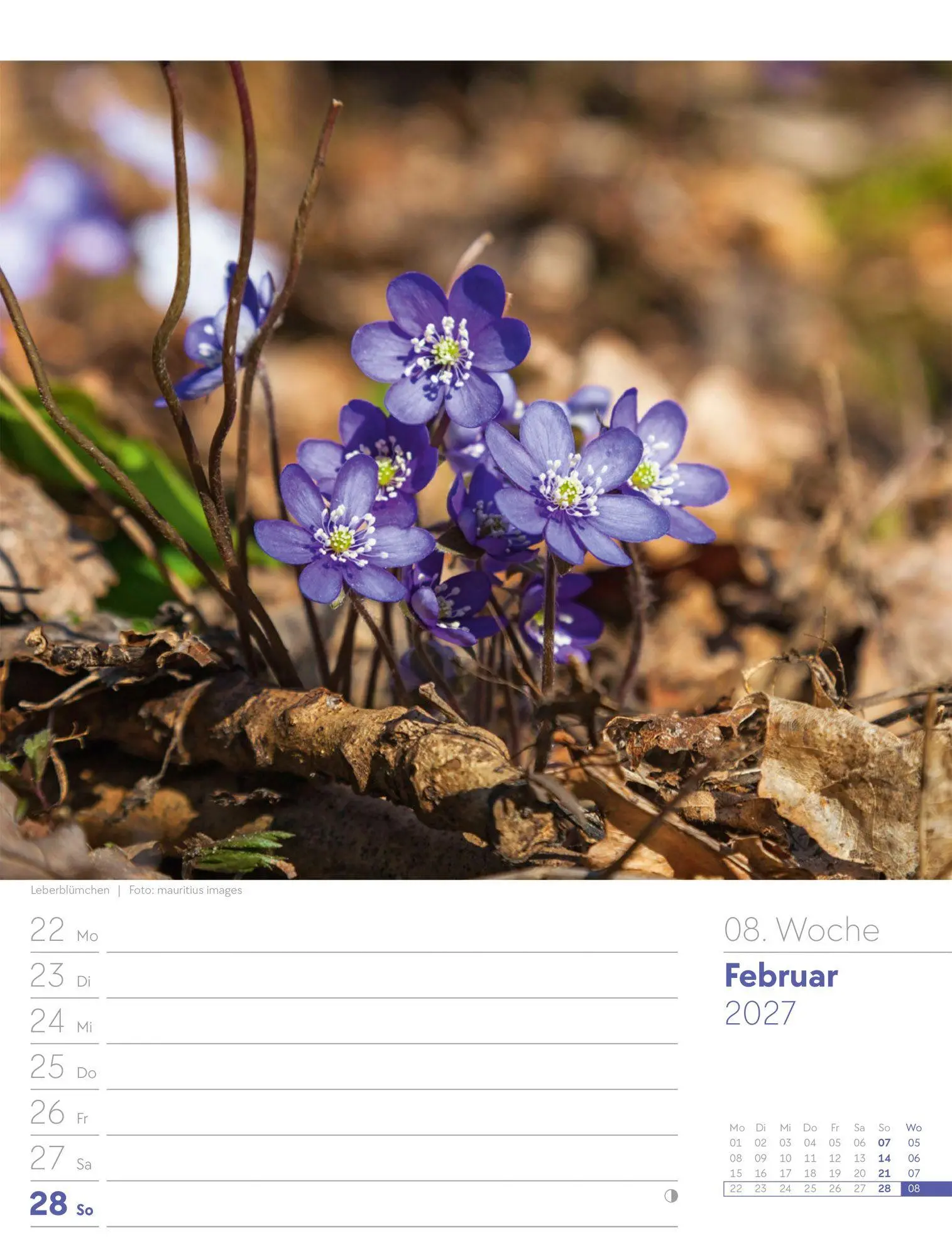 Bild: 9783838427973 | Unser Wald Wochenplaner Kalender 2027 | Ackermann Kunstverlag GmbH