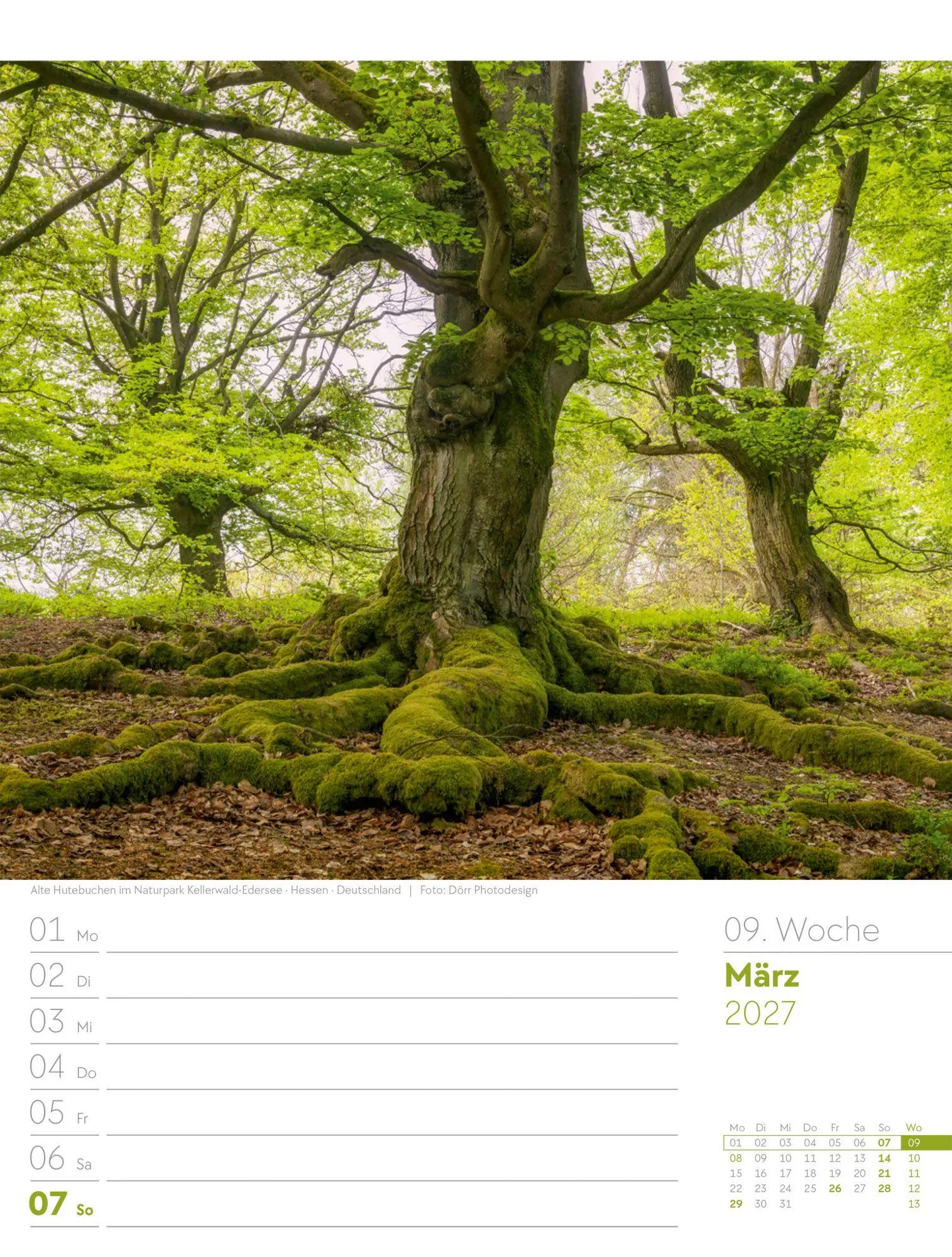 Bild: 9783838427973 | Unser Wald Wochenplaner Kalender 2027 | Ackermann Kunstverlag GmbH