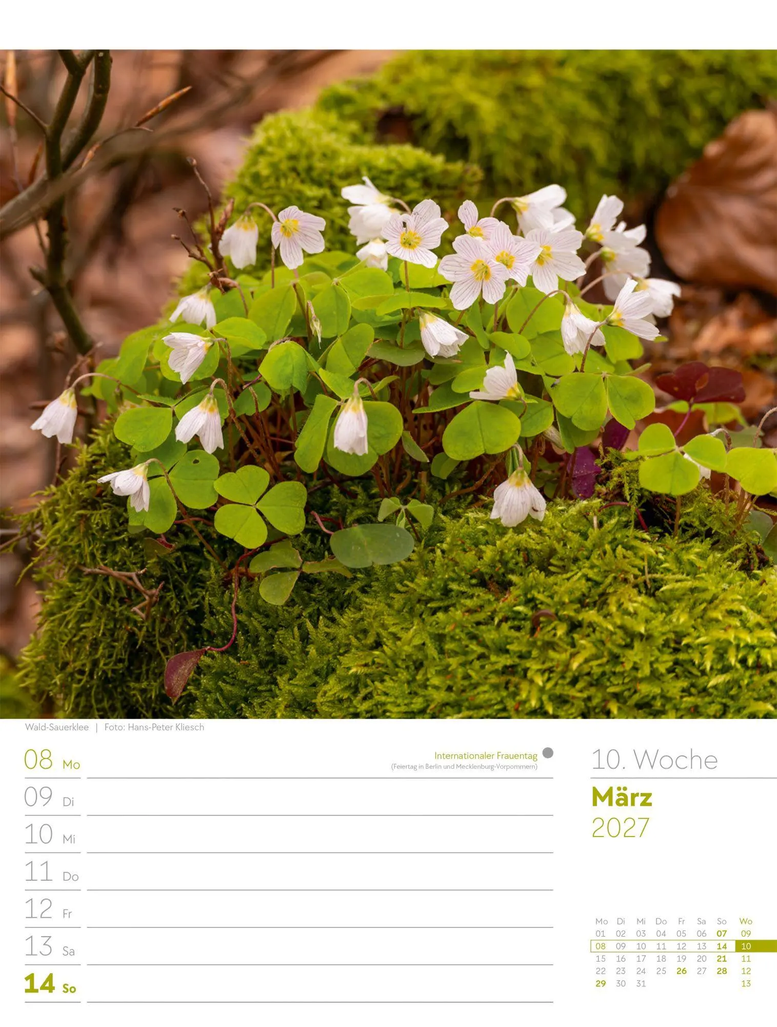 Bild: 9783838427973 | Unser Wald Wochenplaner Kalender 2027 | Ackermann Kunstverlag GmbH