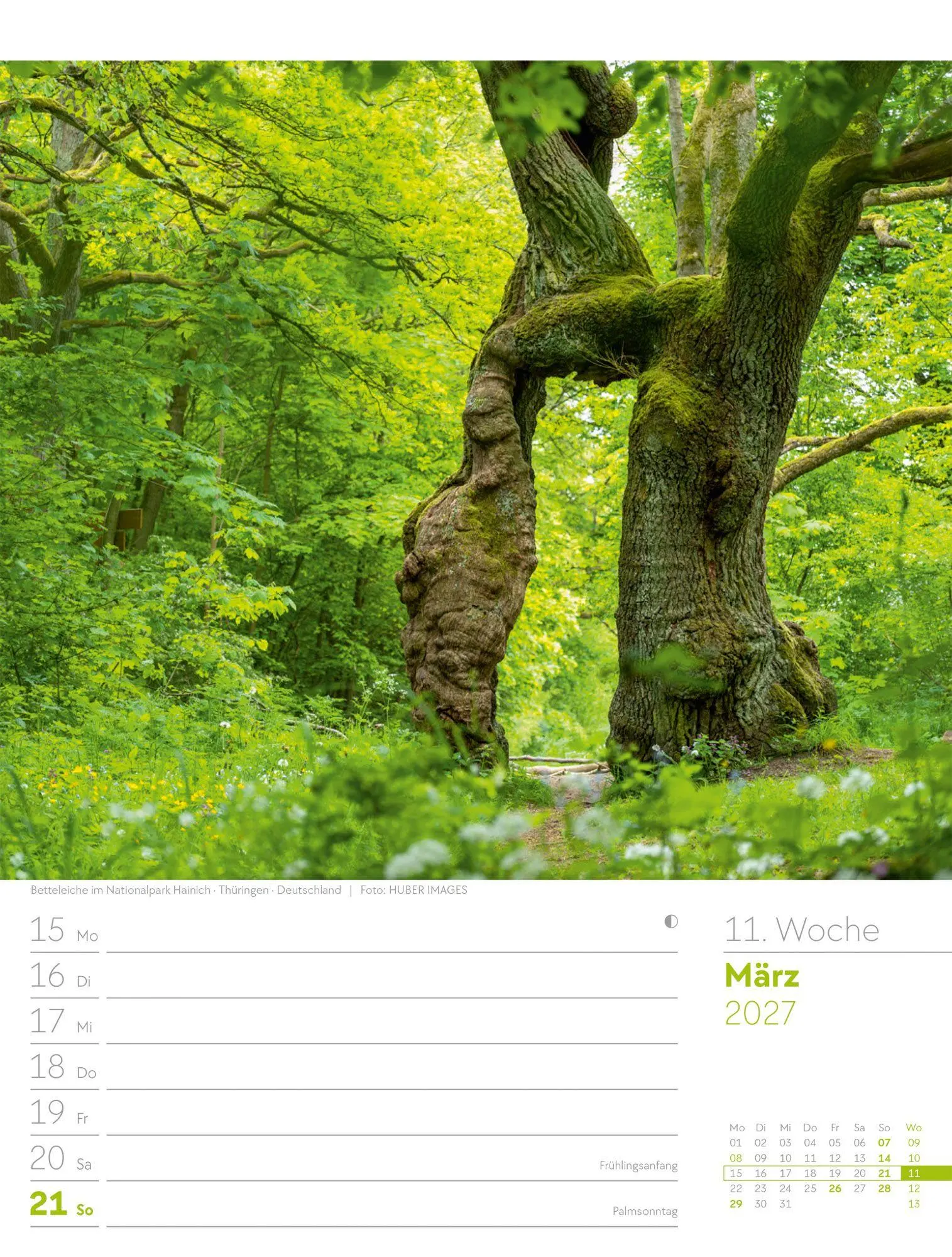 Bild: 9783838427973 | Unser Wald Wochenplaner Kalender 2027 | Ackermann Kunstverlag GmbH