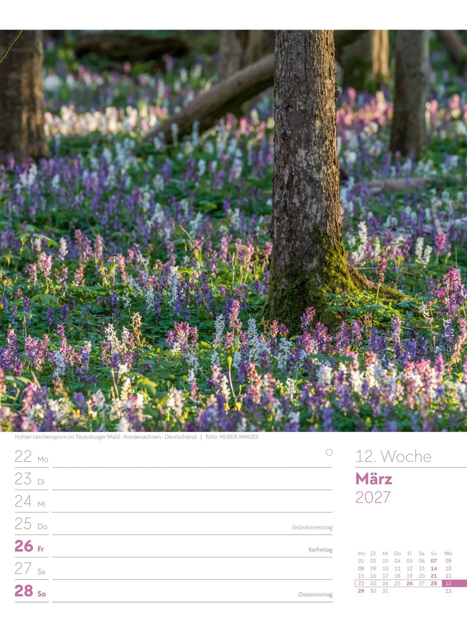 Bild: 9783838427973 | Unser Wald Wochenplaner Kalender 2027 | Ackermann Kunstverlag GmbH