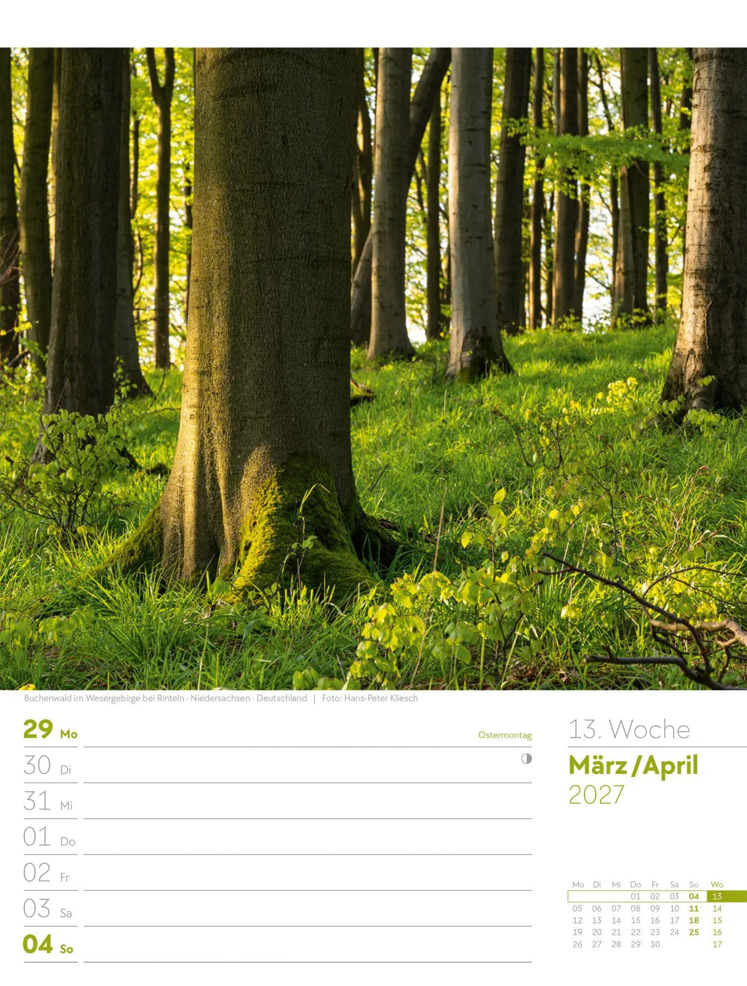 Bild: 9783838427973 | Unser Wald Wochenplaner Kalender 2027 | Ackermann Kunstverlag GmbH