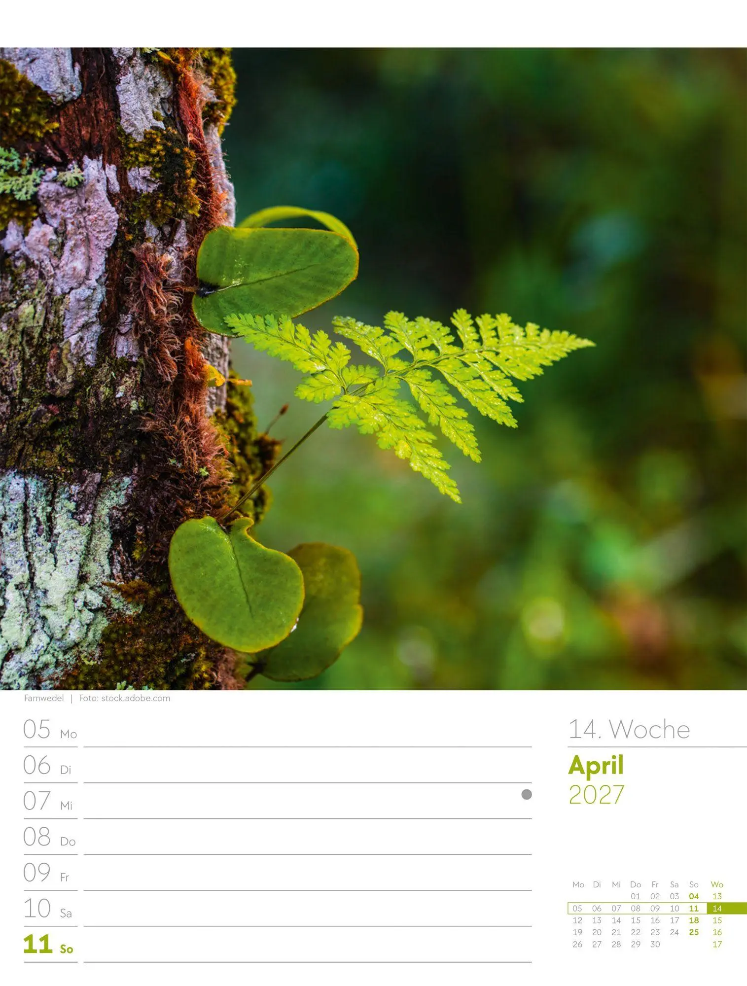 Bild: 9783838427973 | Unser Wald Wochenplaner Kalender 2027 | Ackermann Kunstverlag GmbH