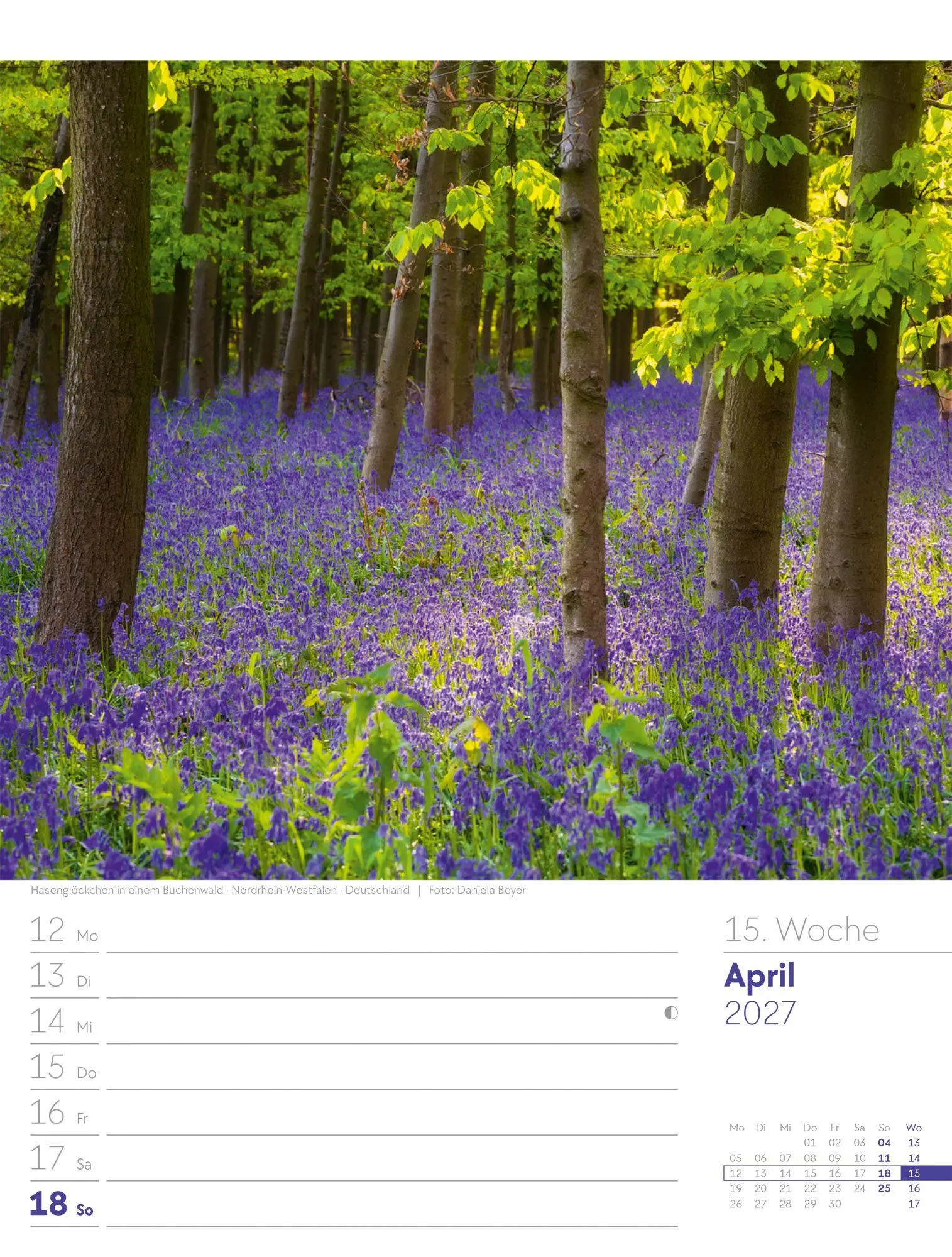 Bild: 9783838427973 | Unser Wald Wochenplaner Kalender 2027 | Ackermann Kunstverlag GmbH