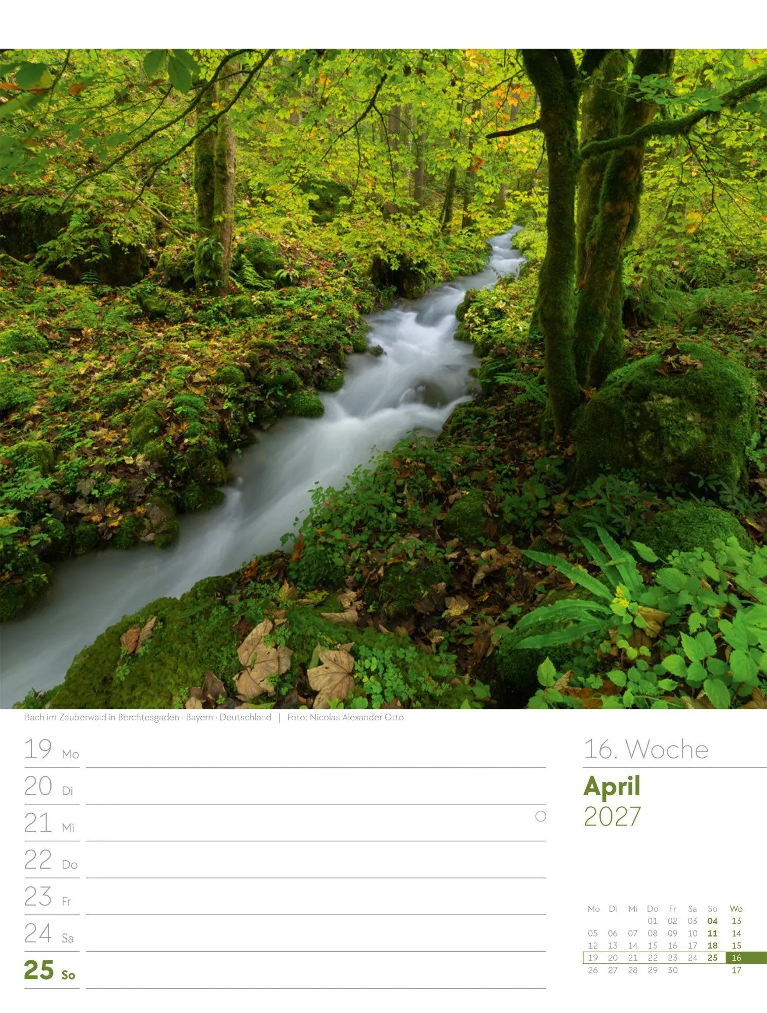 Bild: 9783838427973 | Unser Wald Wochenplaner Kalender 2027 | Ackermann Kunstverlag GmbH