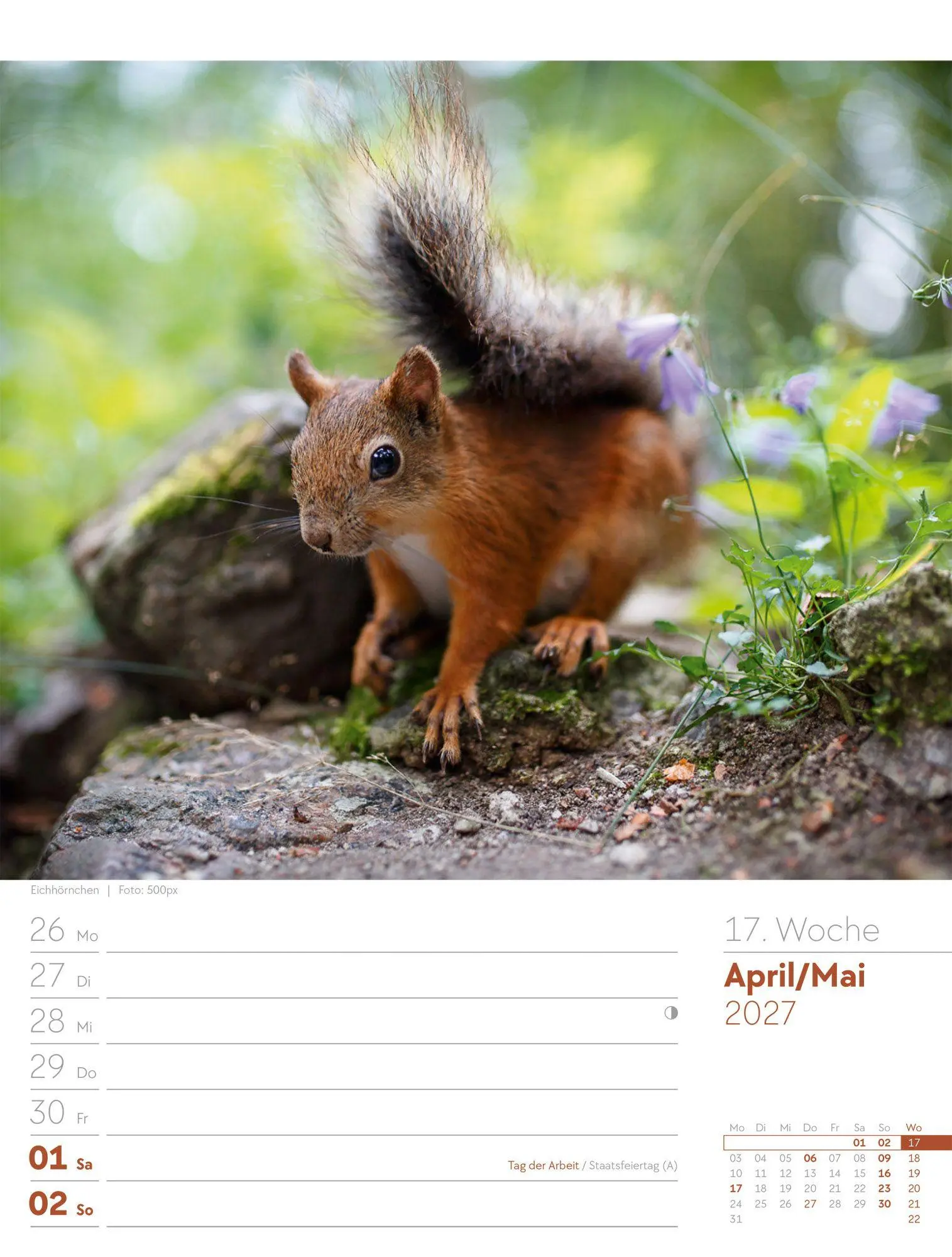 Bild: 9783838427973 | Unser Wald Wochenplaner Kalender 2027 | Ackermann Kunstverlag GmbH