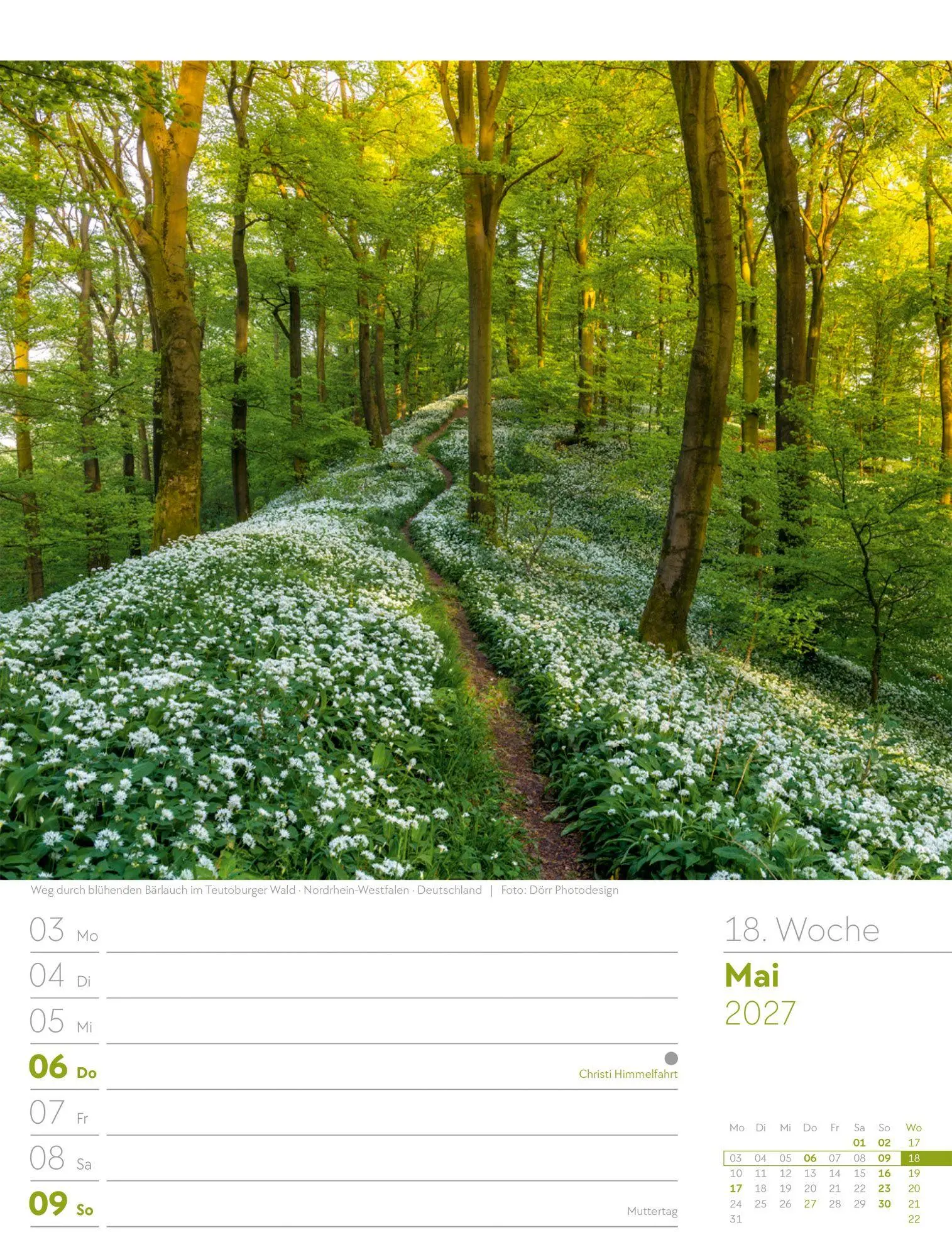 Bild: 9783838427973 | Unser Wald Wochenplaner Kalender 2027 | Ackermann Kunstverlag GmbH