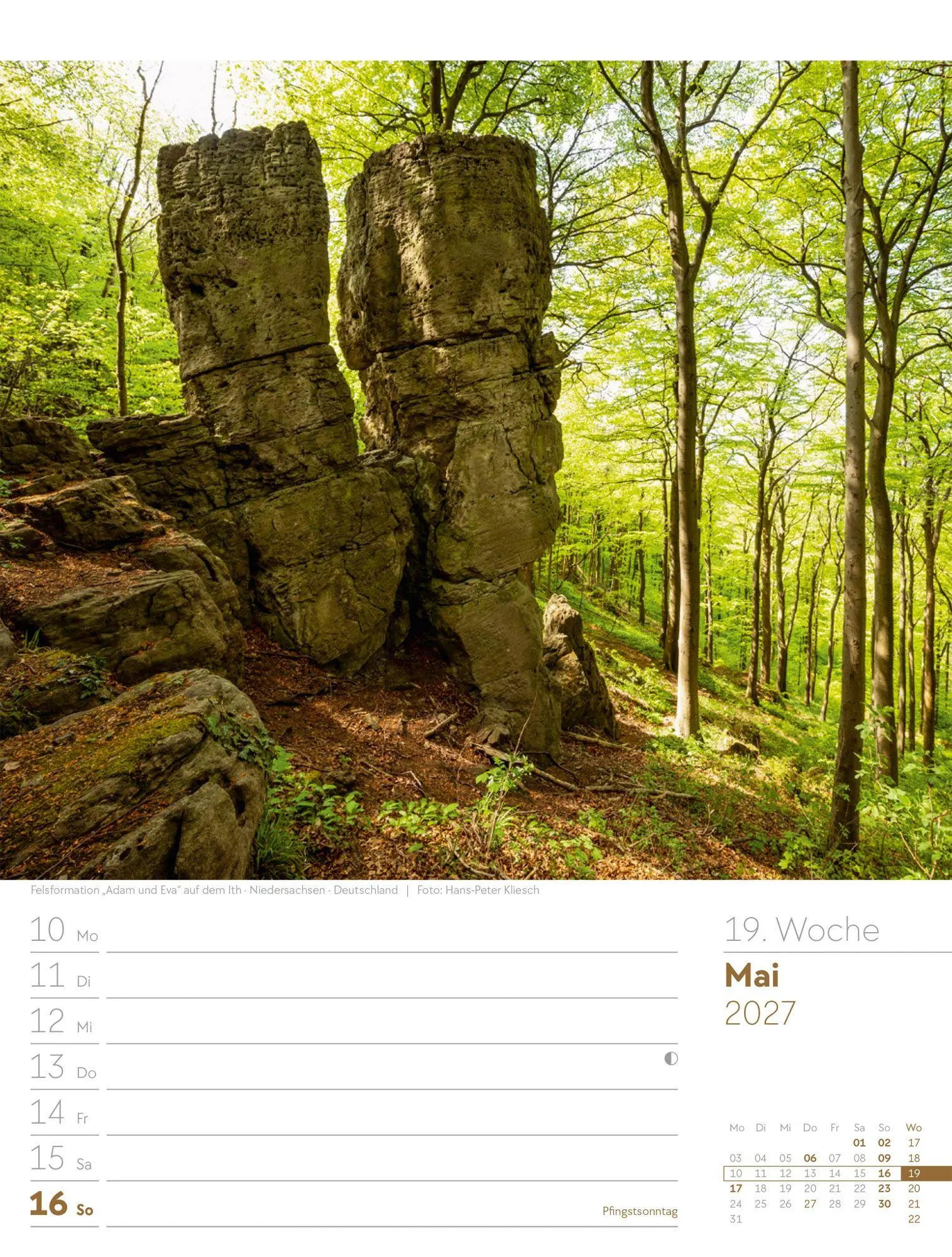 Bild: 9783838427973 | Unser Wald Wochenplaner Kalender 2027 | Ackermann Kunstverlag GmbH