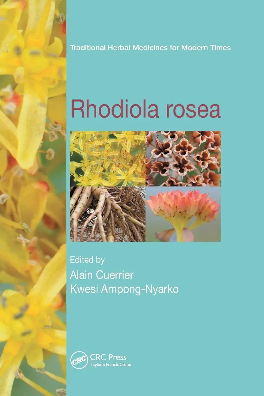 Cover: 9780367378073 | Rhodiola rosea | Alain Cuerrier (u. a.) | Taschenbuch | Englisch