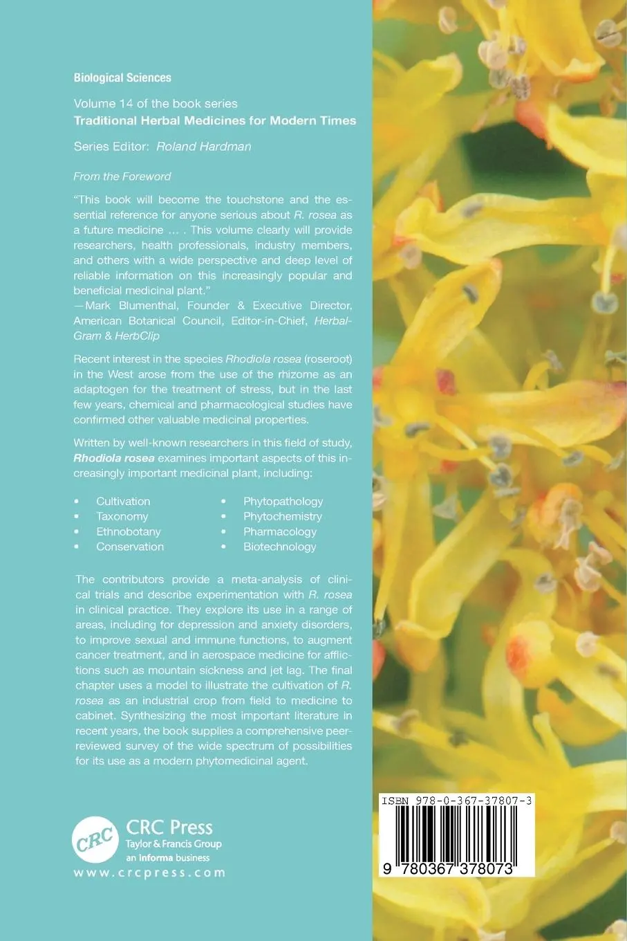 Rückseite: 9780367378073 | Rhodiola rosea | Alain Cuerrier (u. a.) | Taschenbuch | Englisch