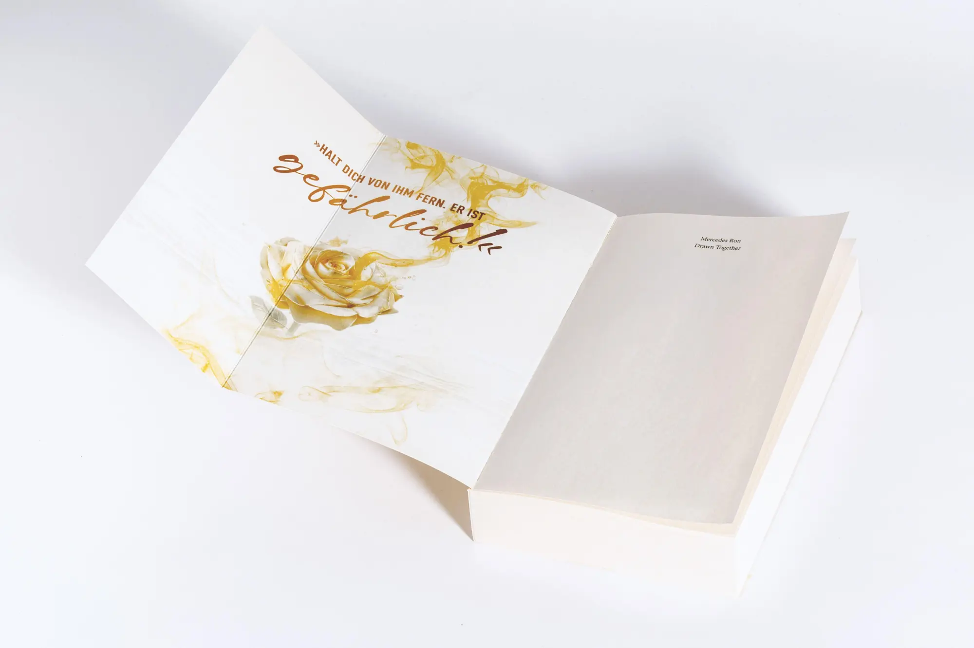Bild: 9783570168073 | Drawn Together | Mercedes Ron | Taschenbuch | Die Marfil-Saga | 432 S.