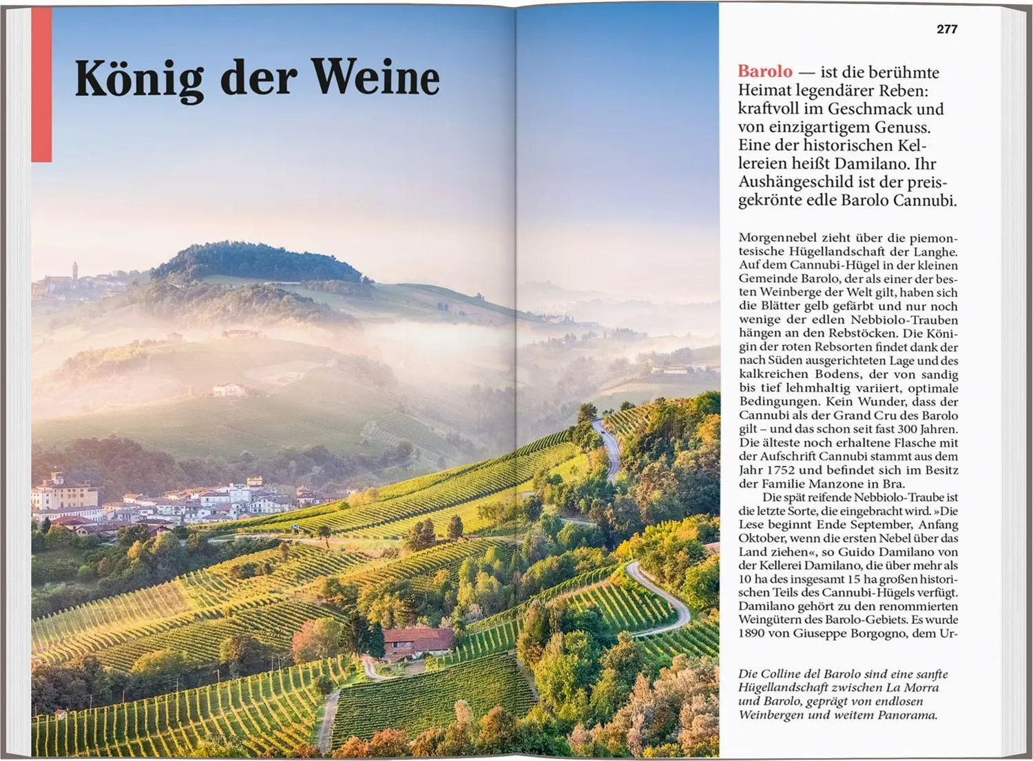 Bild: 9783616008073 | DUMONT Reise-Taschenbuch Reiseführer Piemont, Turin, Aostatal | Buch