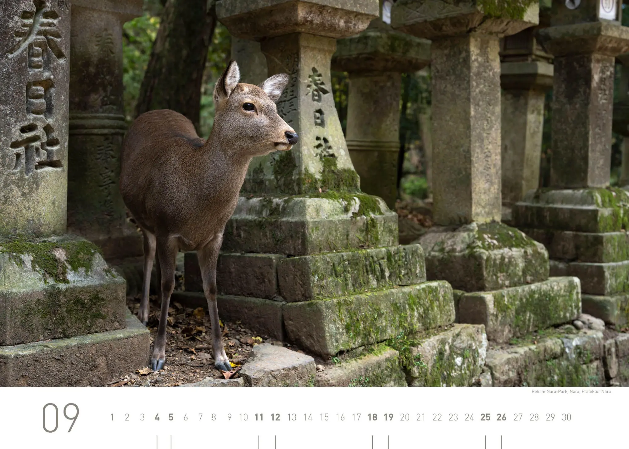 Bild: 9783968558073 | Japan Exklusivkalender 2027 | Jan Becke | Kalender | 14 S. | Deutsch