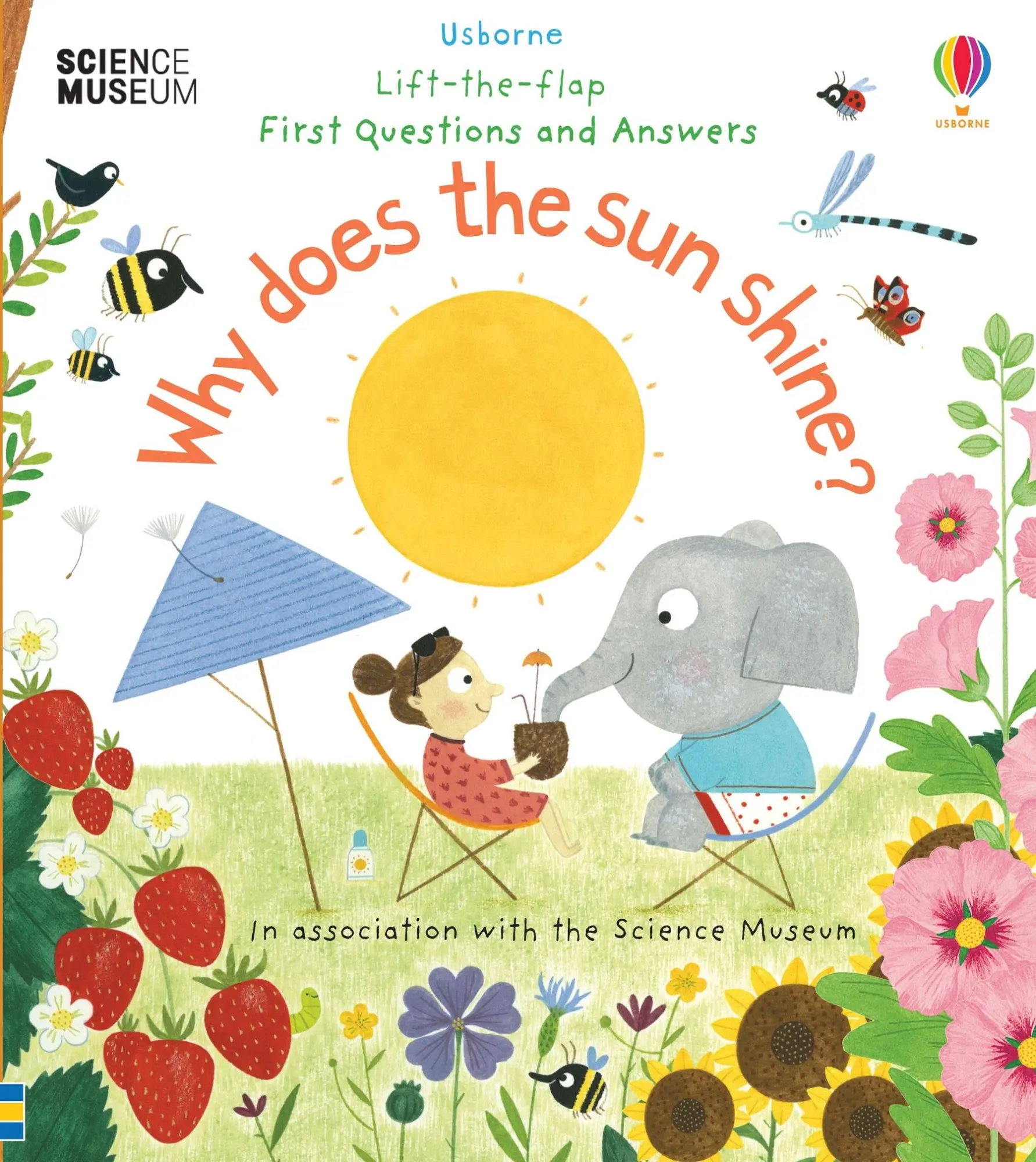 Cover: 9781474948173 | First Questions and Answers: Why Does the Sun Shine? | Katie Daynes